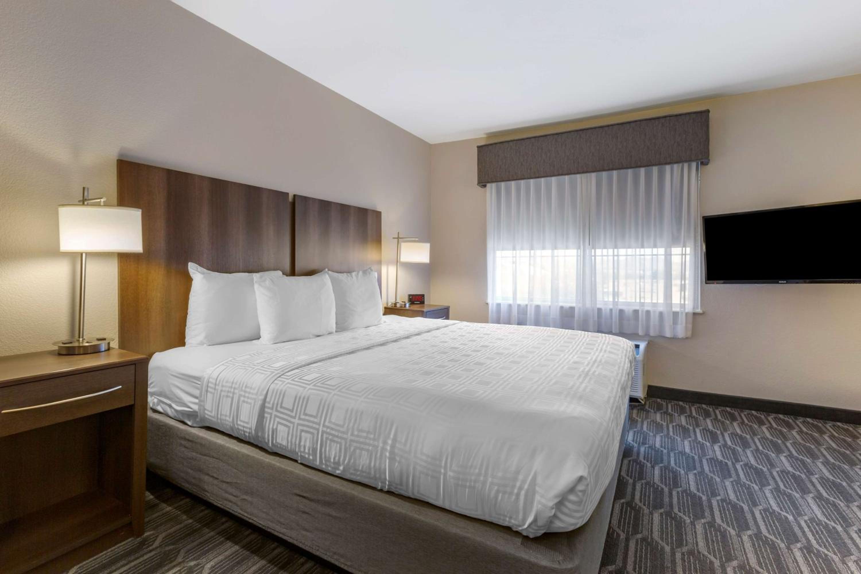 King Room with Sofa Bed - Non-Smoking - Photo 1