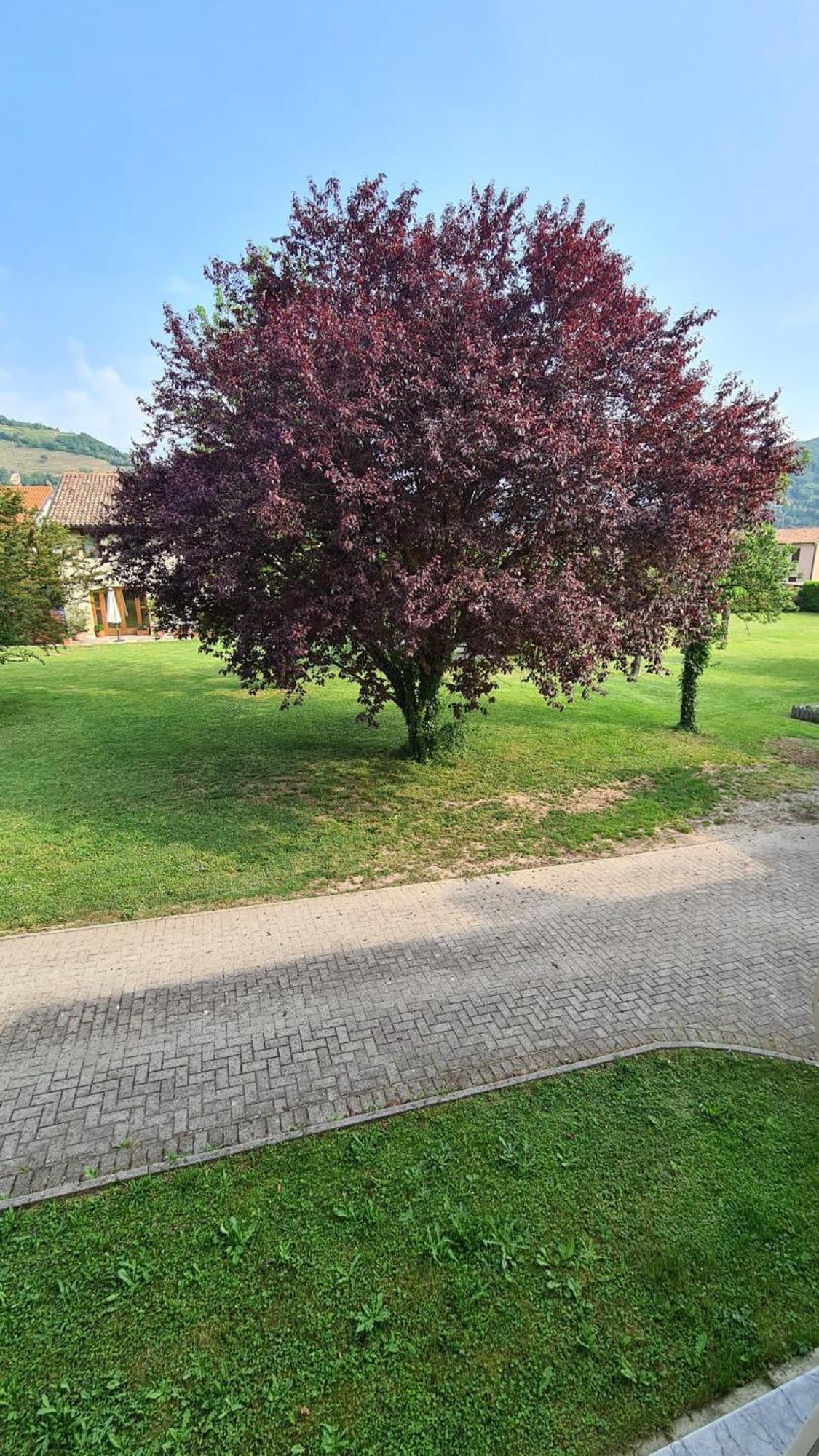 Vacation Home - Photo 41