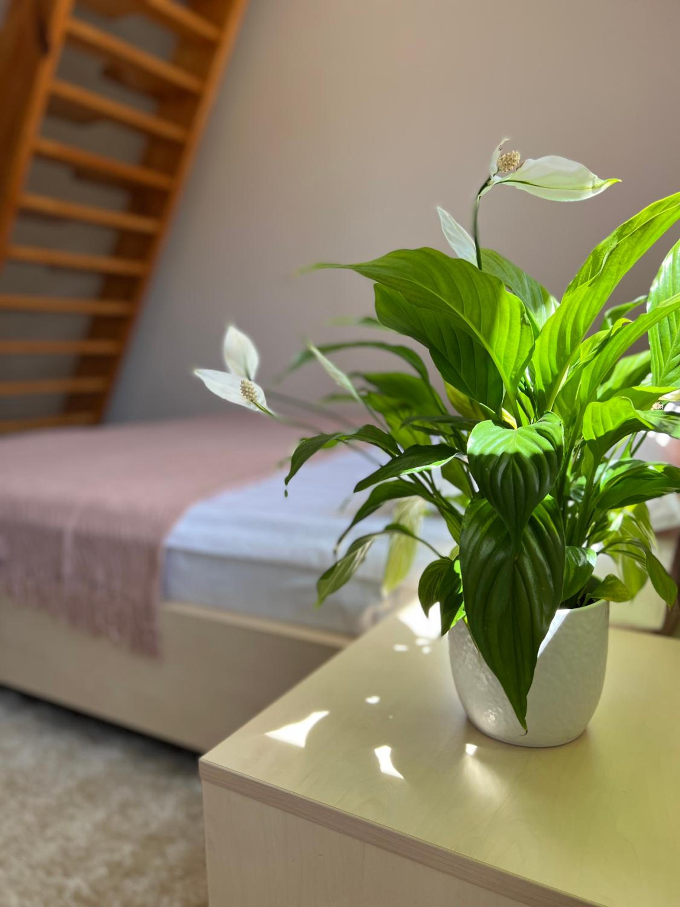 Quadruple Room with Lake View photo 2