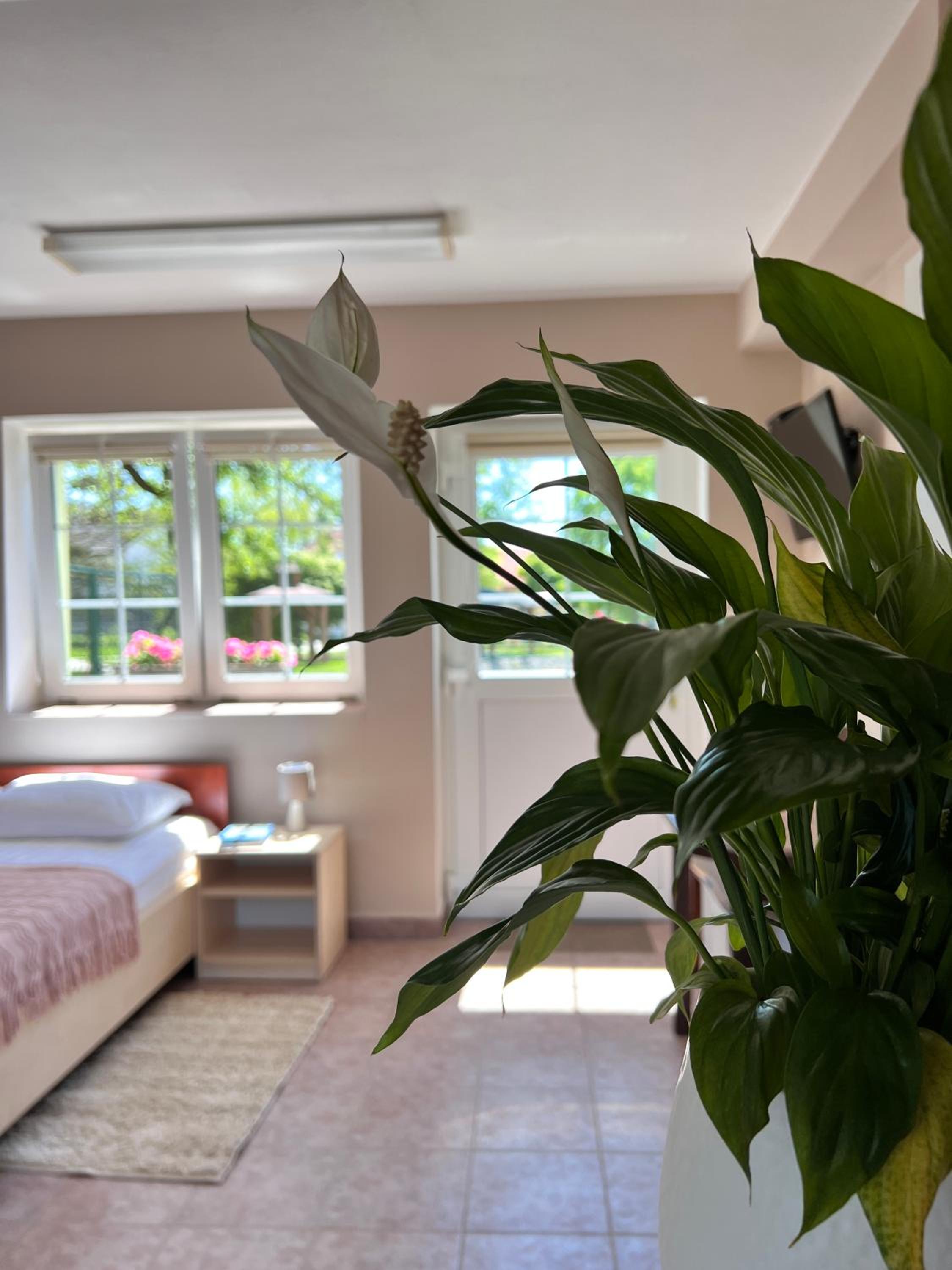 Quadruple Room with Lake View photo 1