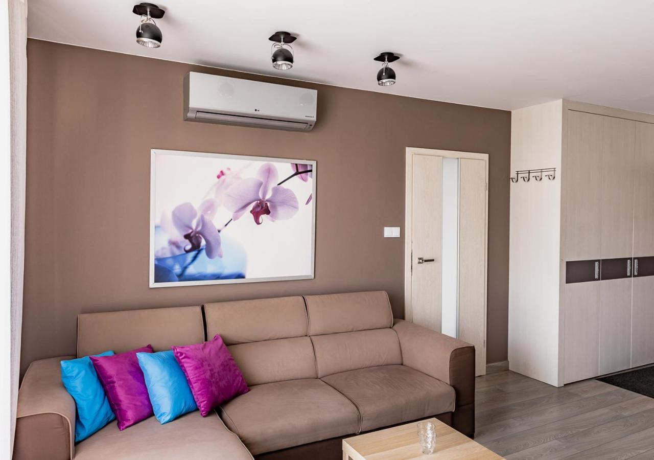 Executive Apartment - Photo 9