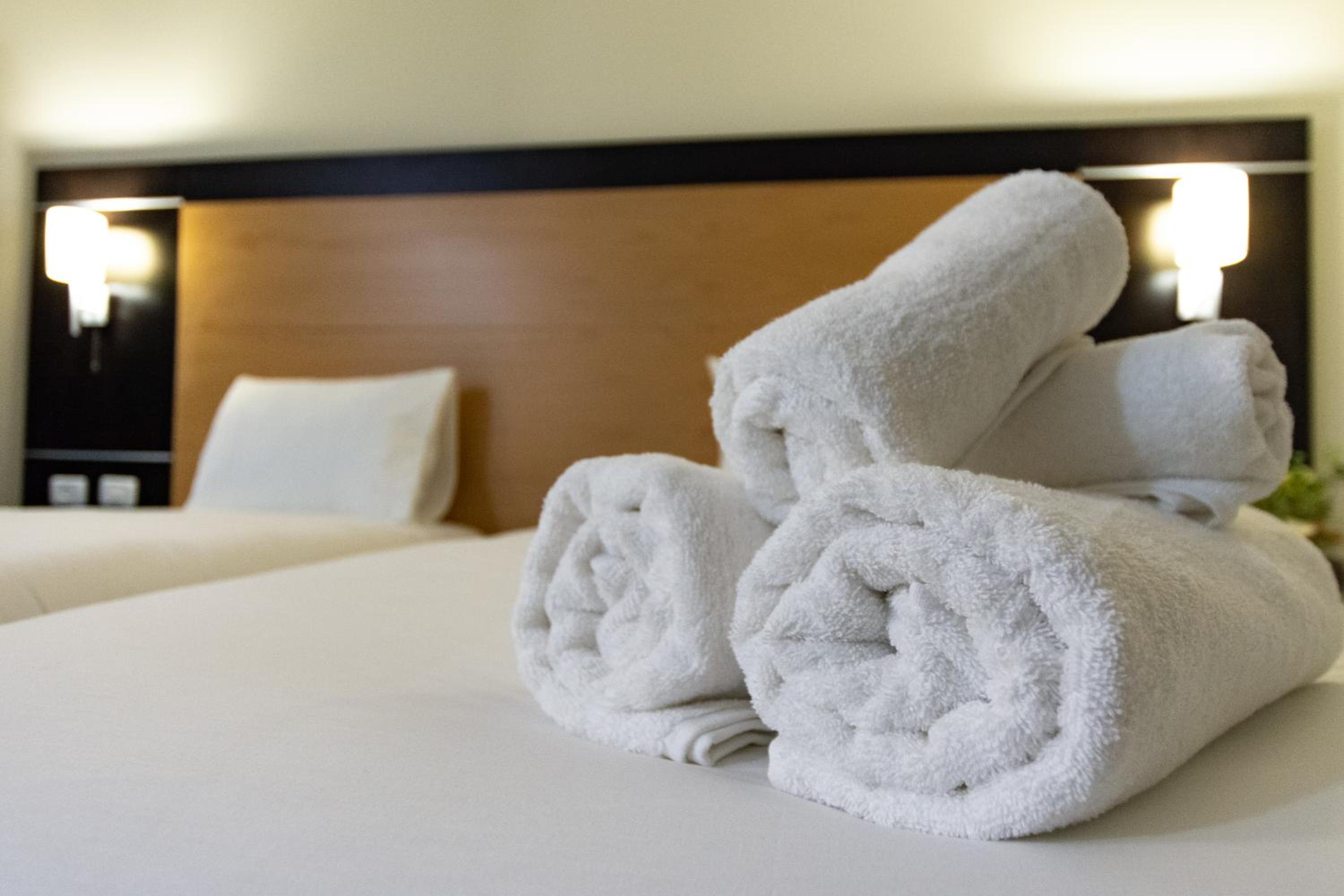 Standard Twin Room - Photo 14