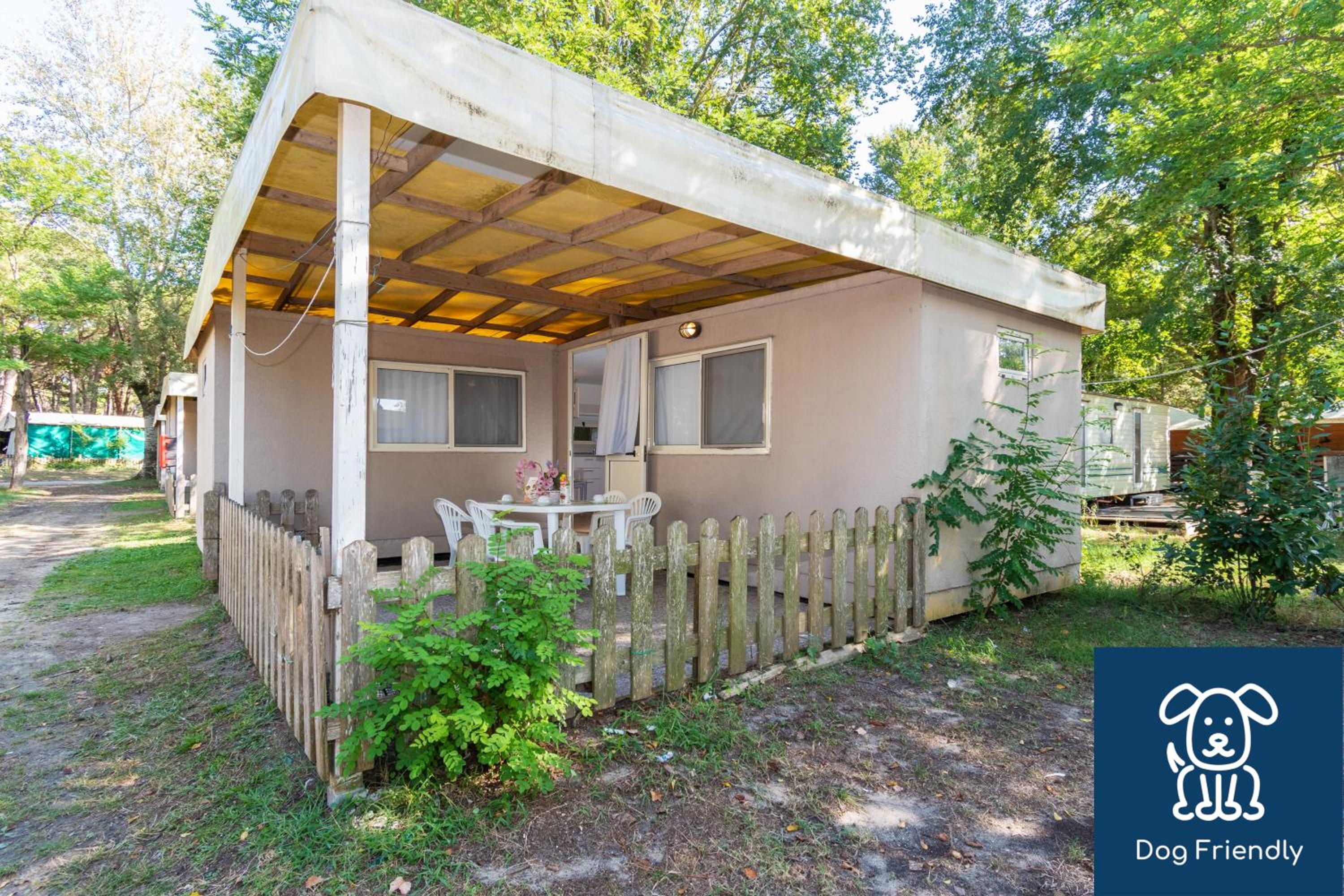 Comfort Bungalow - Photo 1