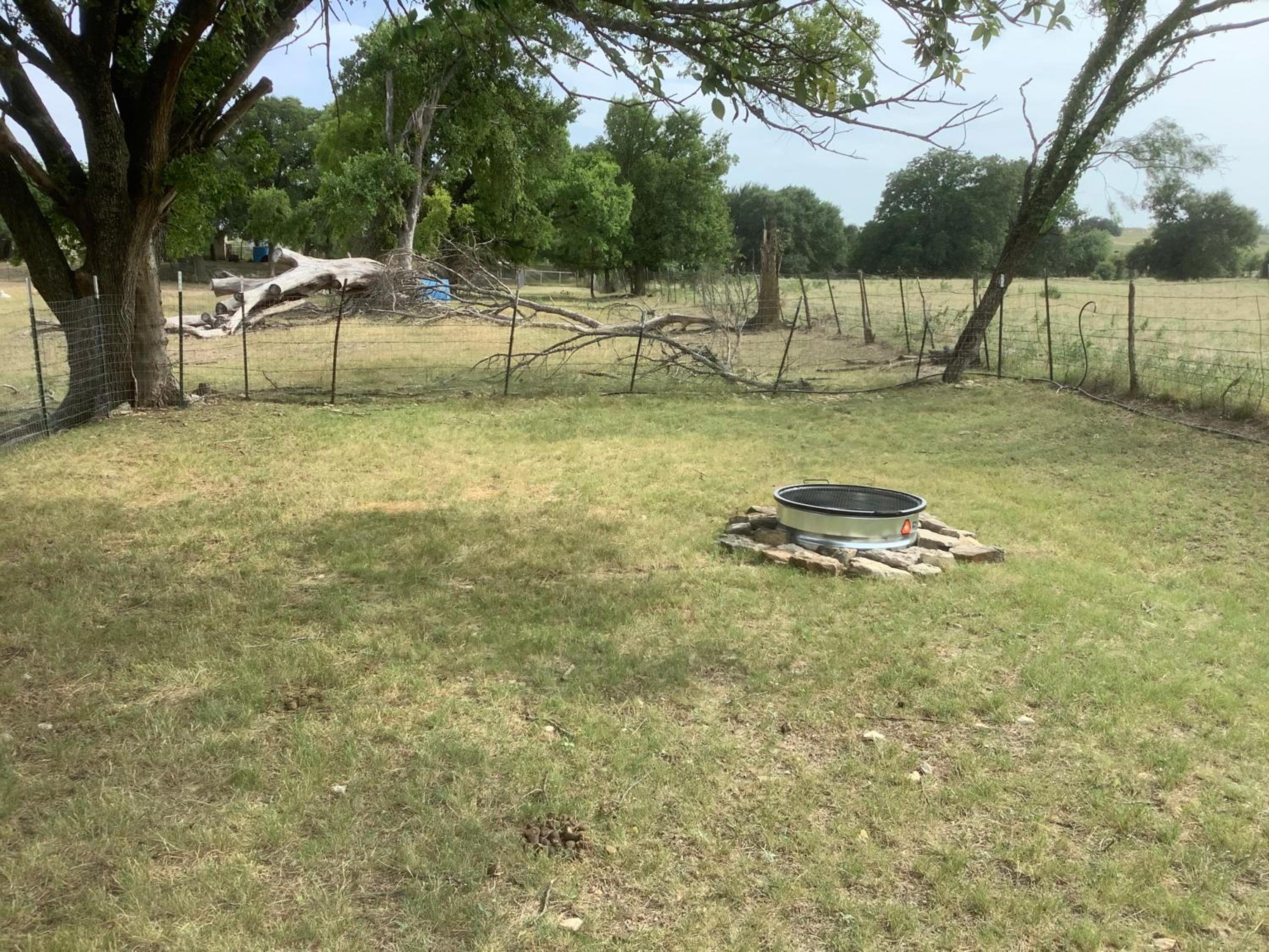 Empty Lot - Photo 6
