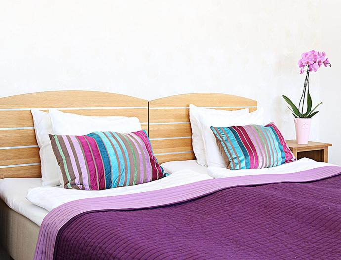 Double or Twin Room photo 1