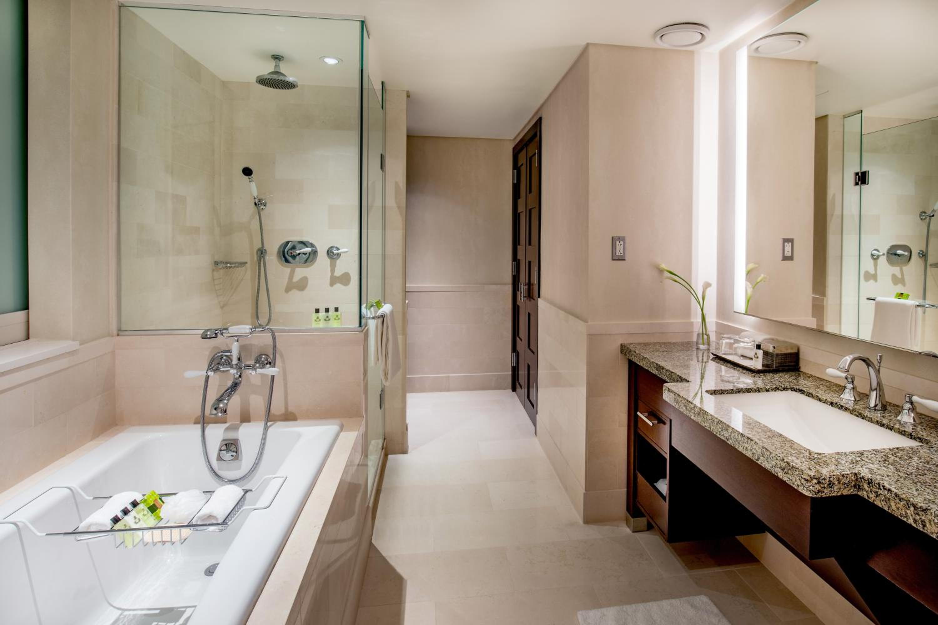 One Bedroom Suite with One King Bed (Non Smoking)