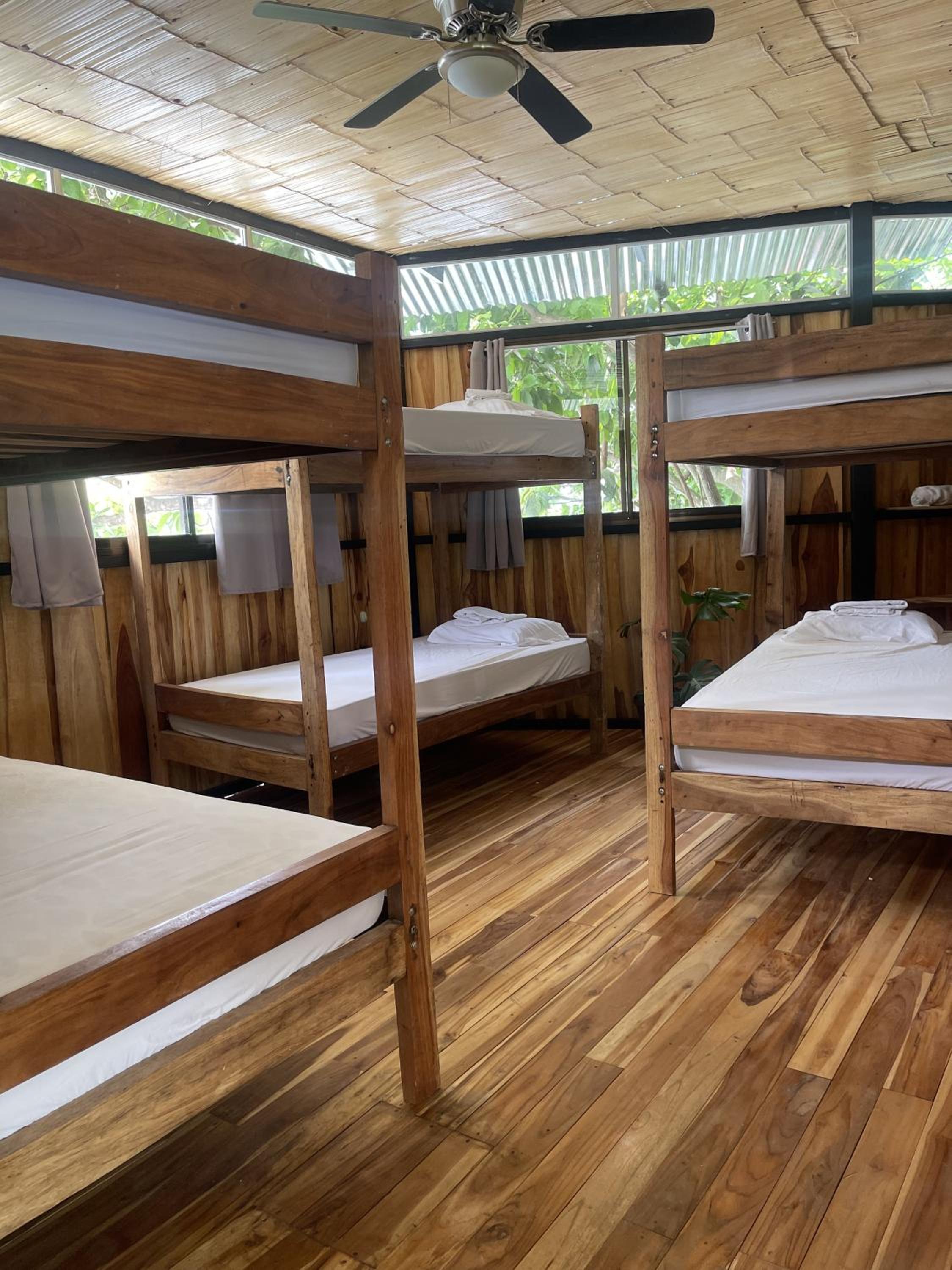 Bed in 6-Bed Dormitory Room photo 3