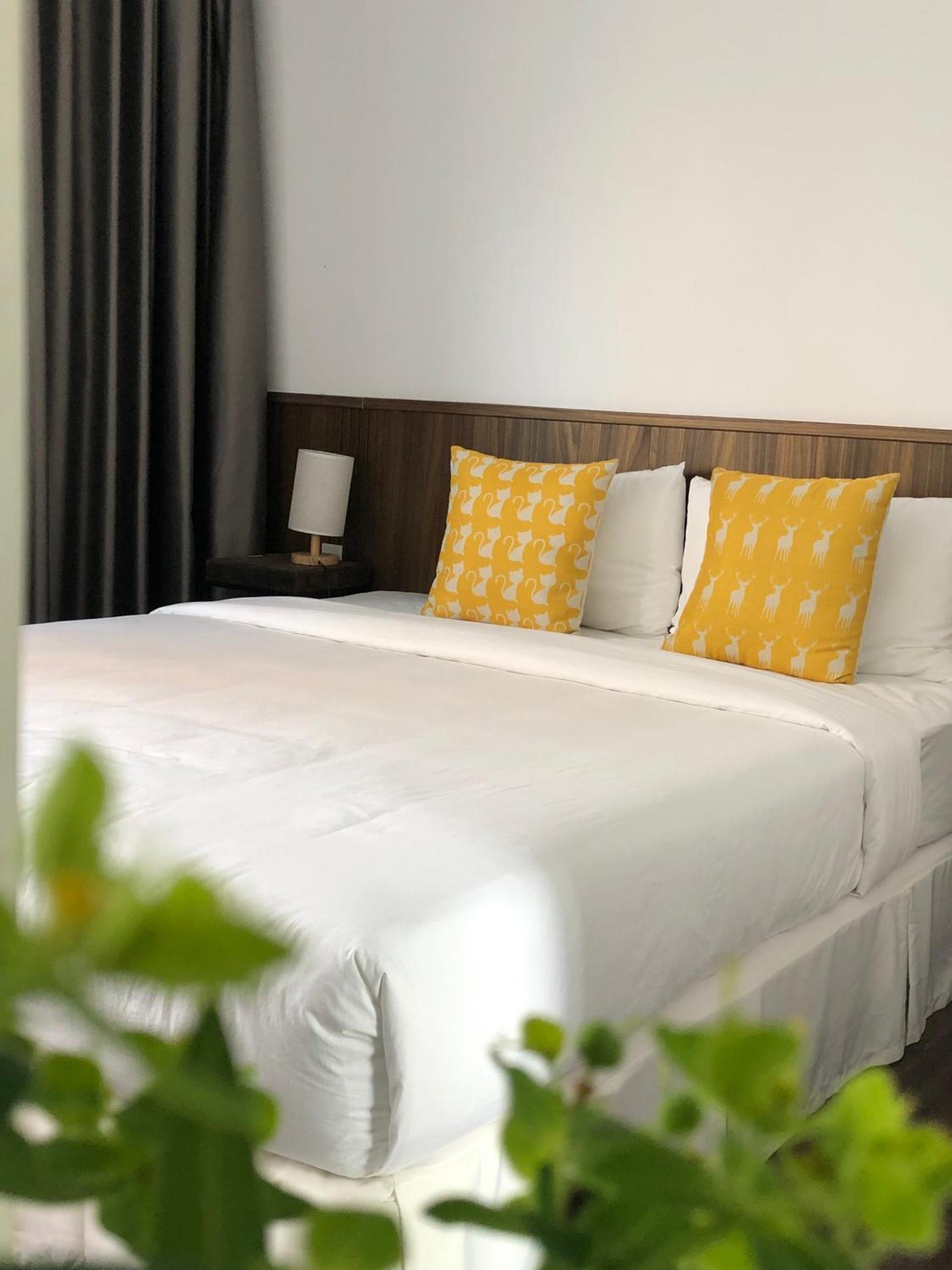 Deluxe Double Room photo 2