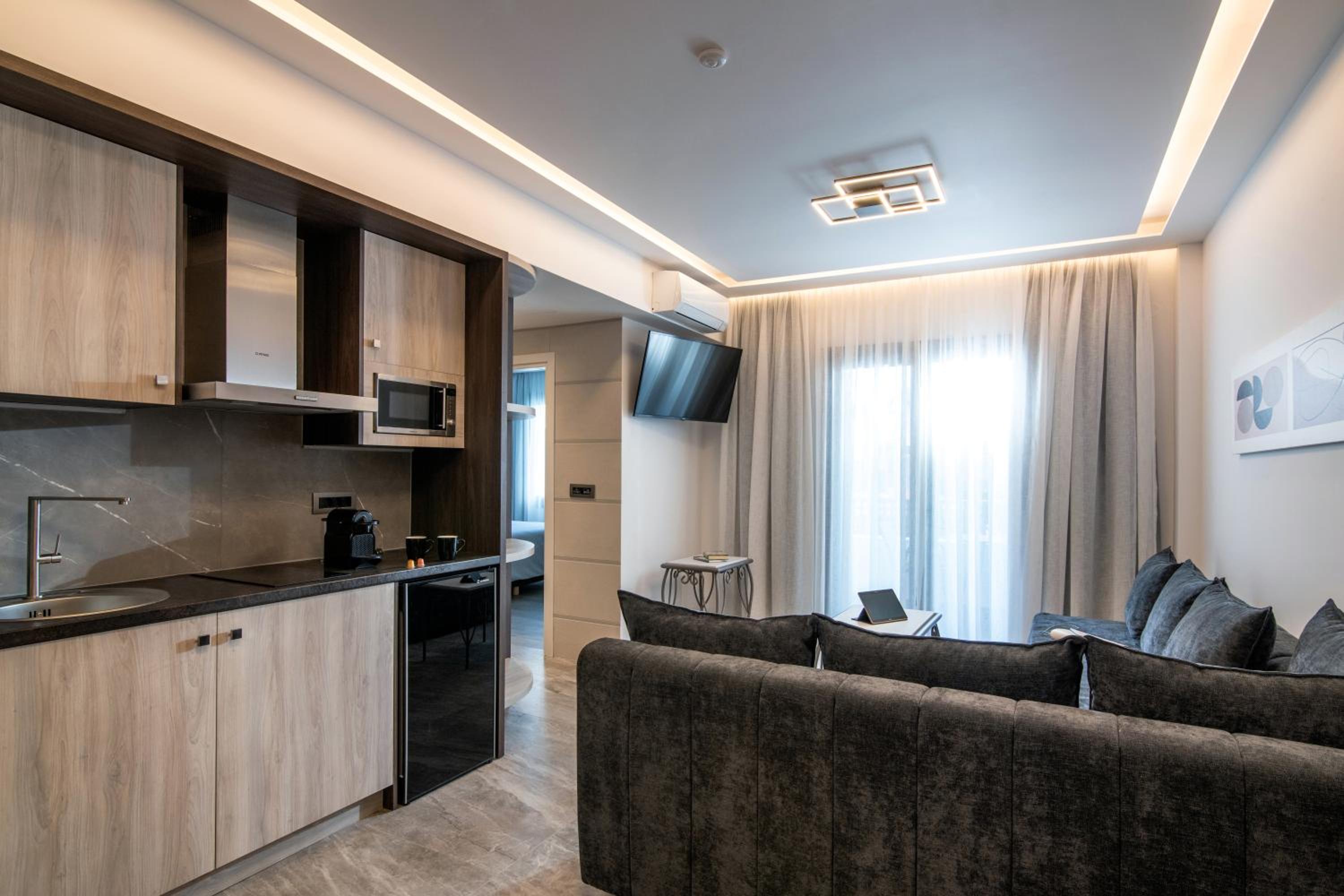 Deluxe One-Bedroom Apartment