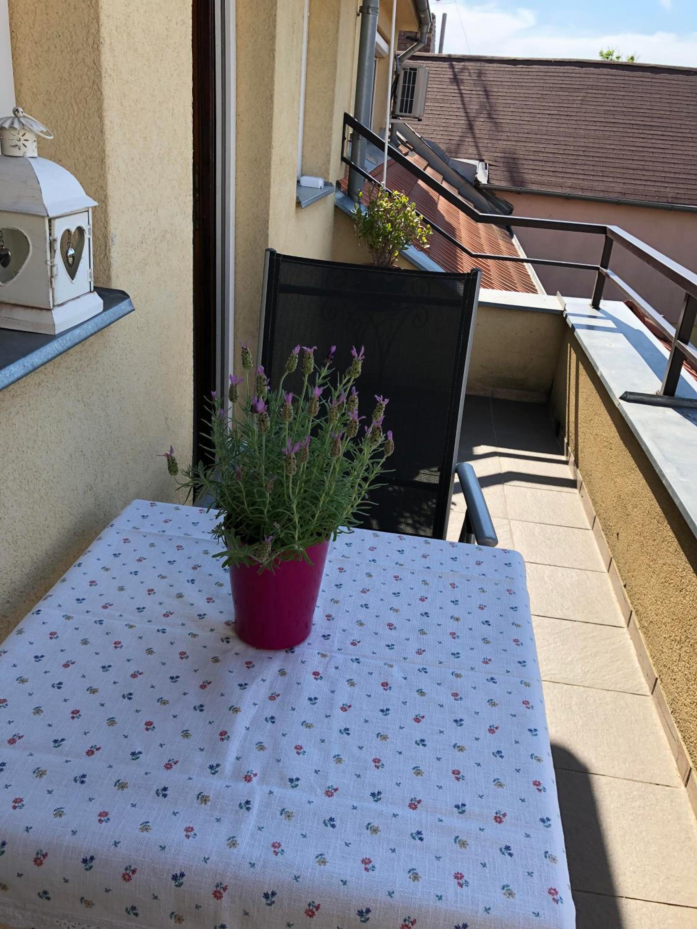 Apartment - Photo 20