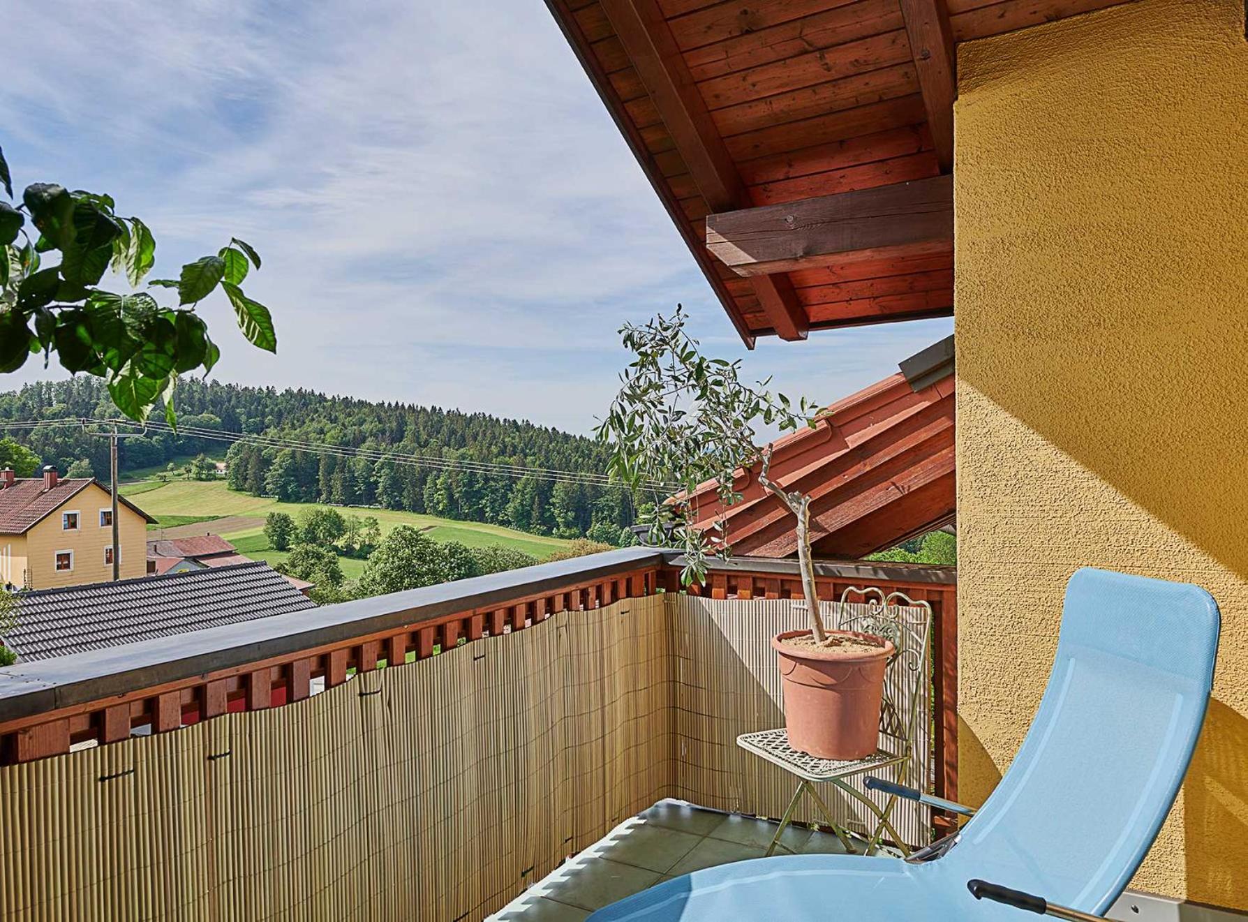 One-Bedroom Apartment with Balcony and Mountain View   photo 3