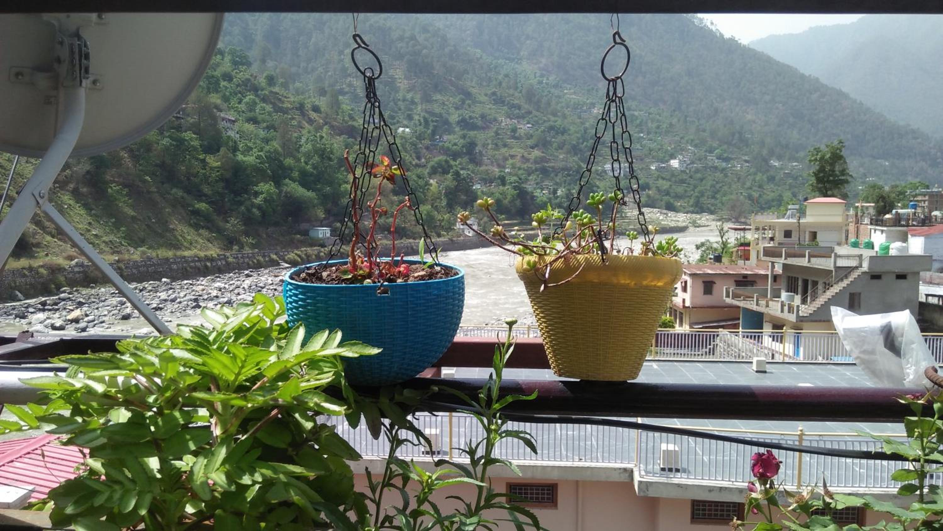 Double Room with Terrace photo 3