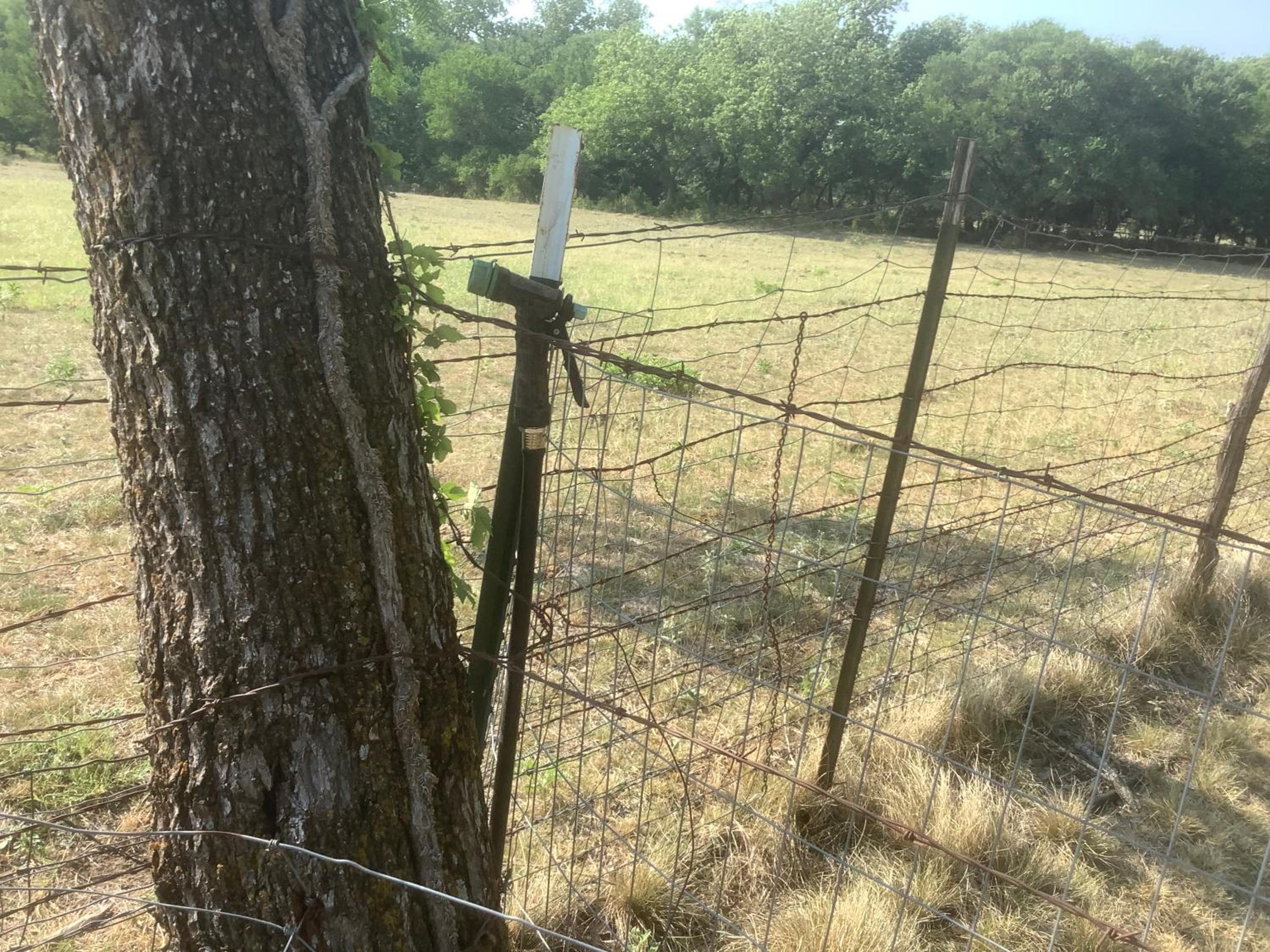 Empty Lot - Photo 8
