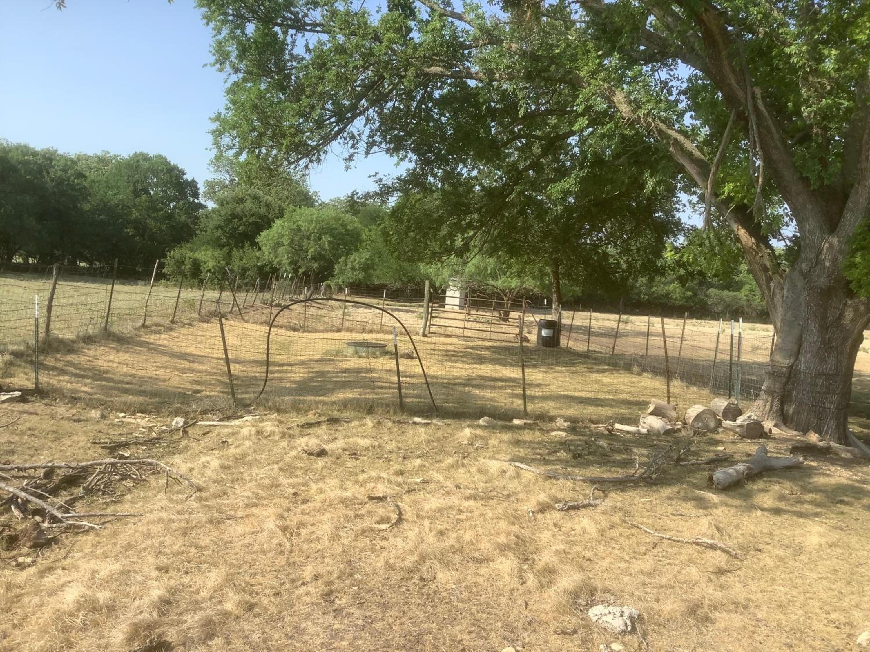 Empty Lot - Photo 9