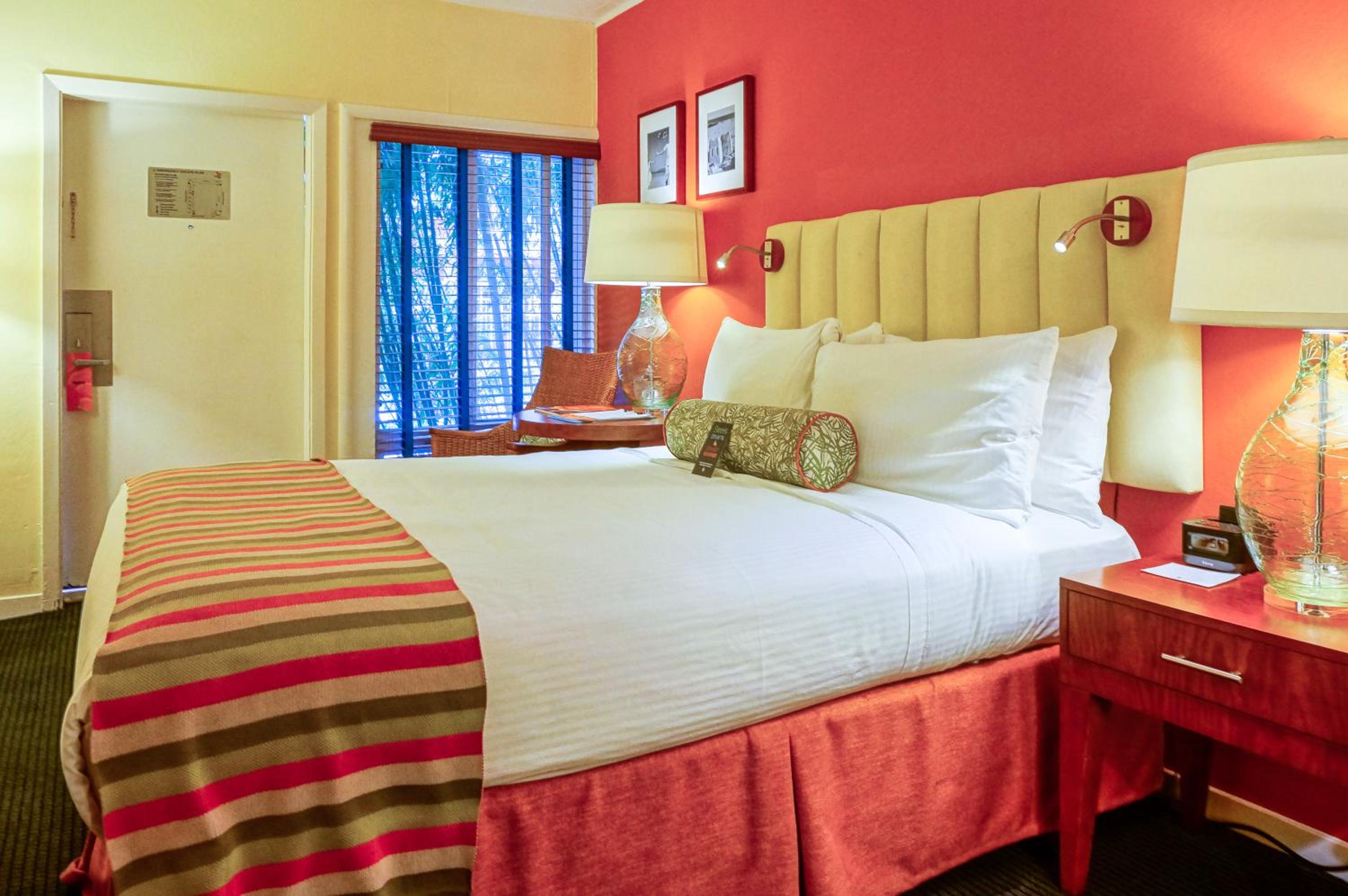 Queen Room - Disability Access - Photo 5