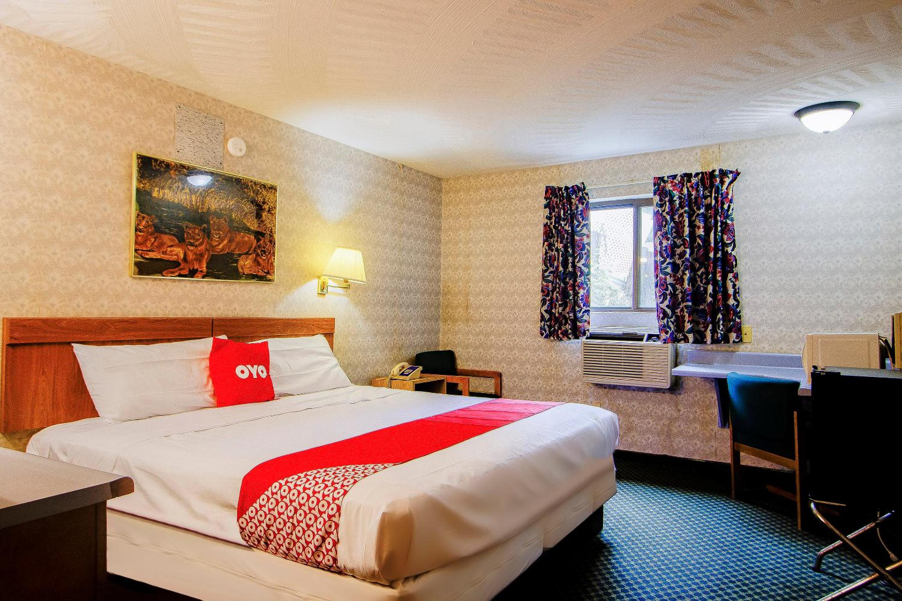 King Room photo 1