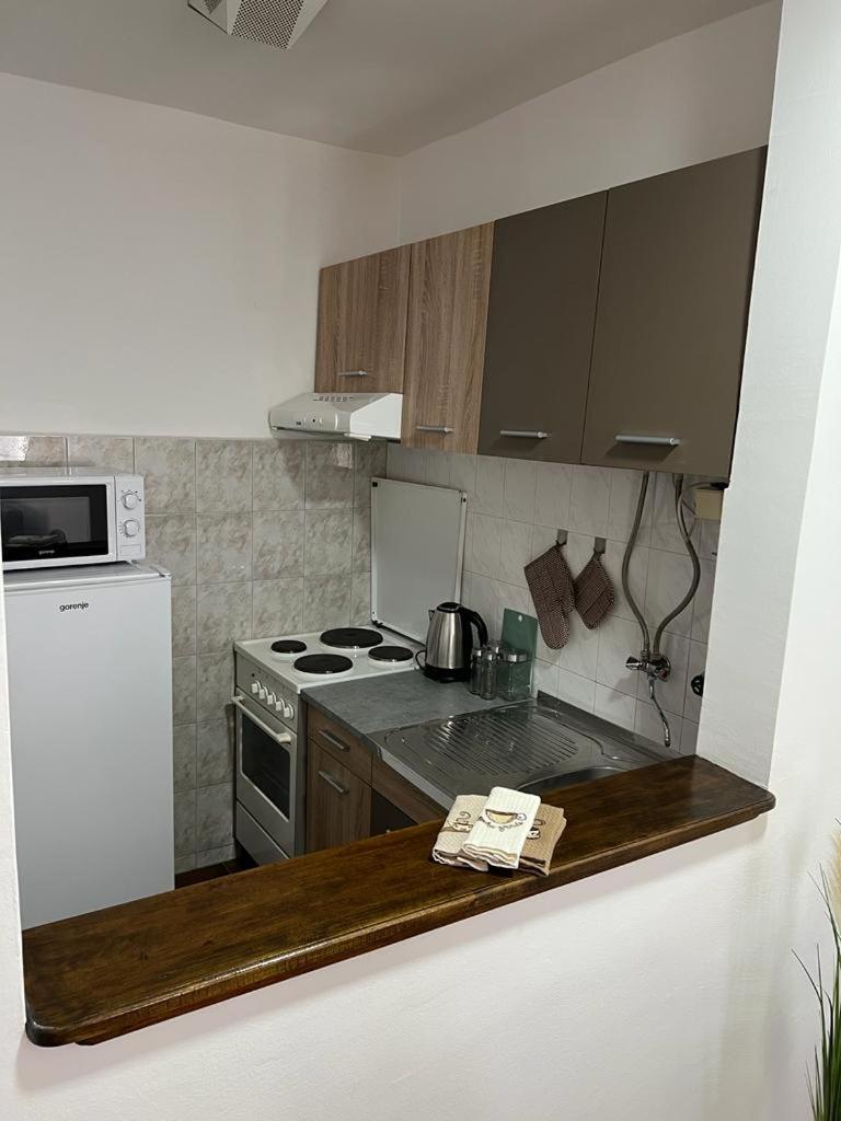 One-Bedroom Apartment photo 3