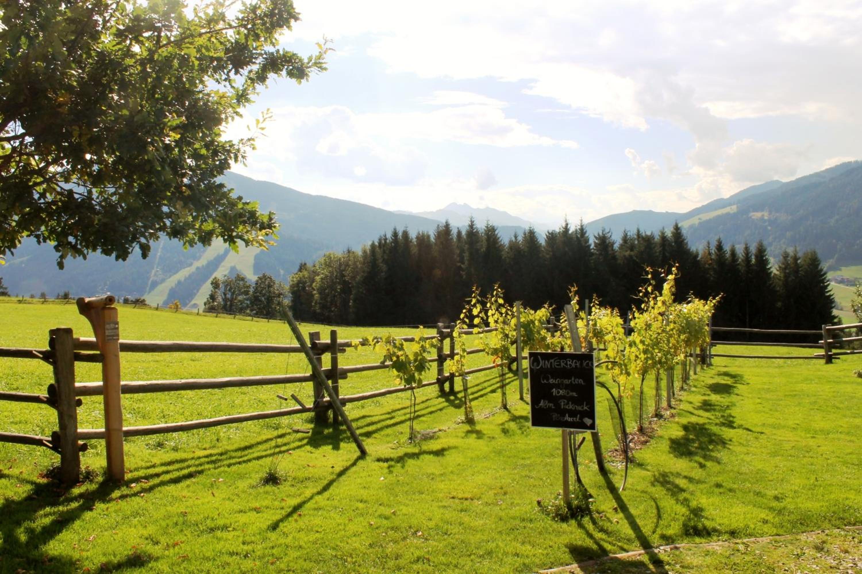 Chalet - Photo 44