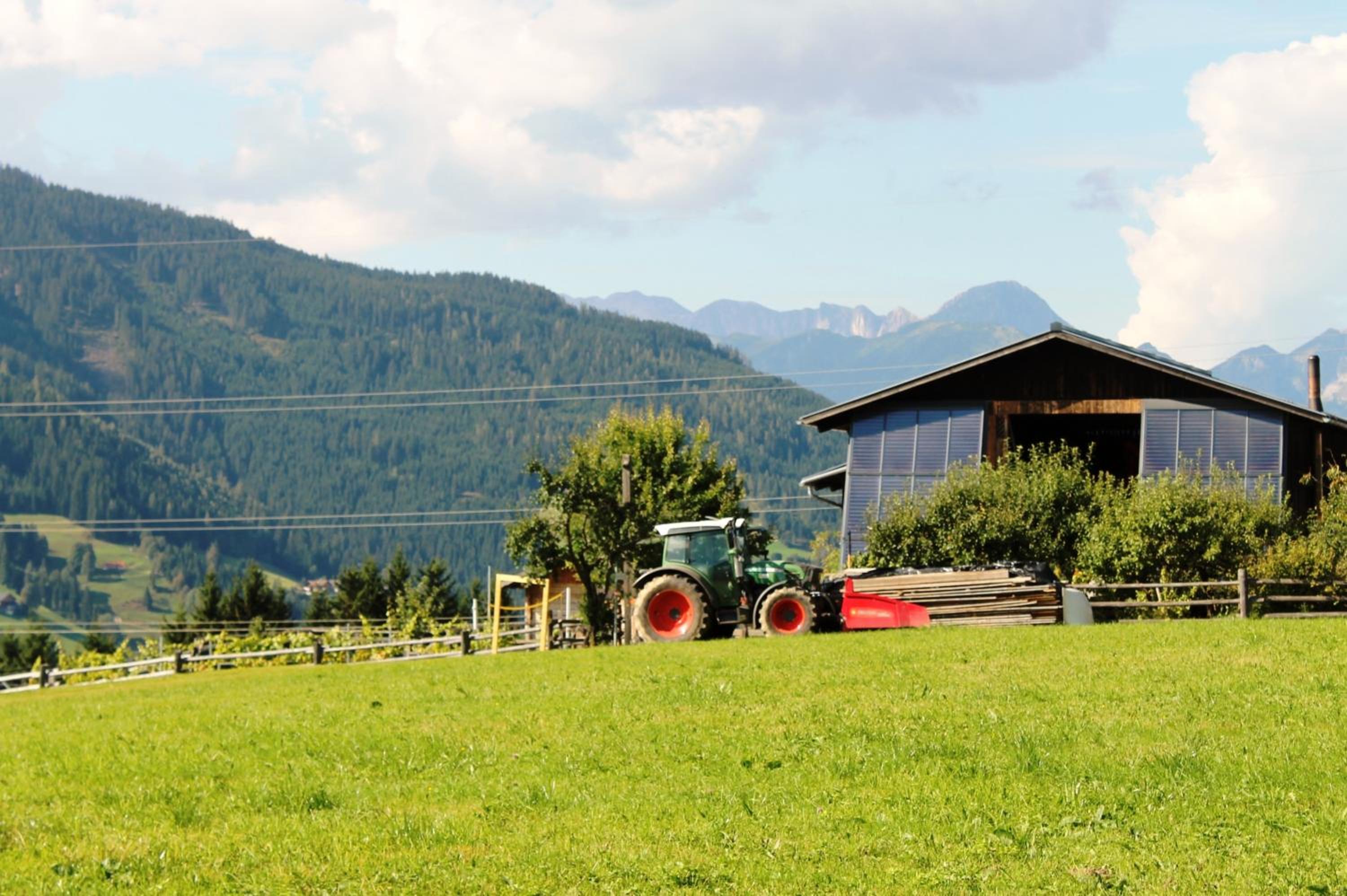 Chalet - Photo 29