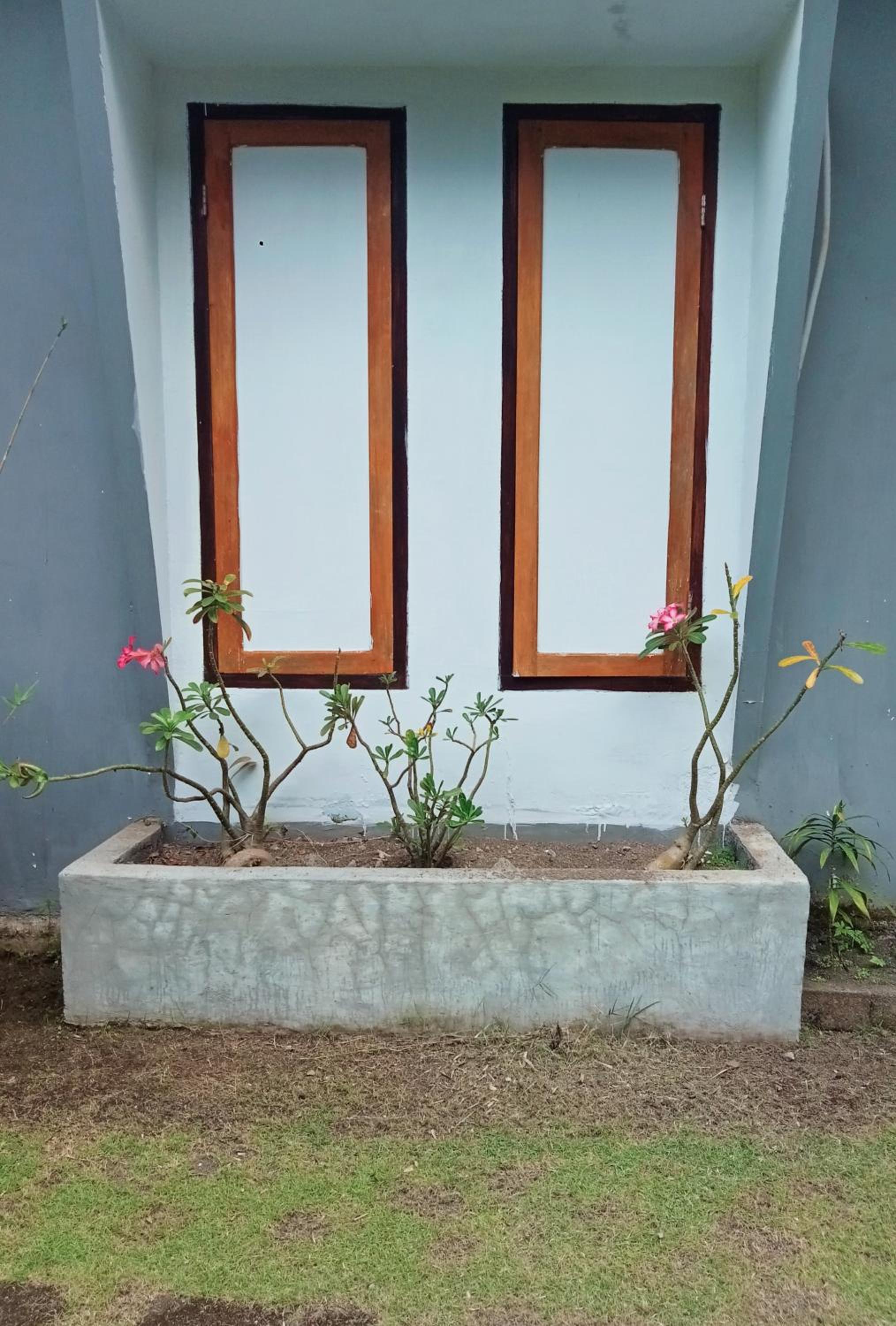 Double Room with Terrace - Photo 3