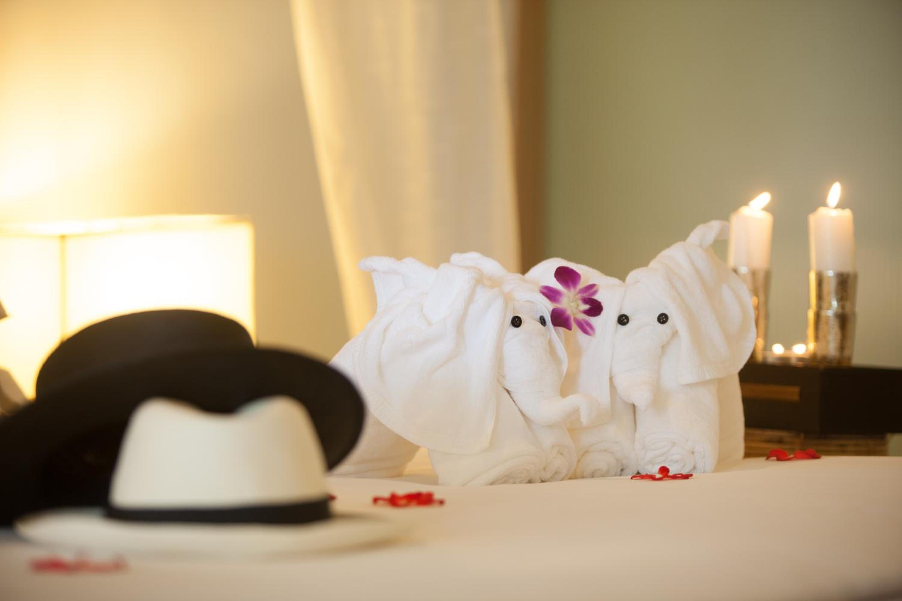 Deluxe Double or Twin Room photo 2