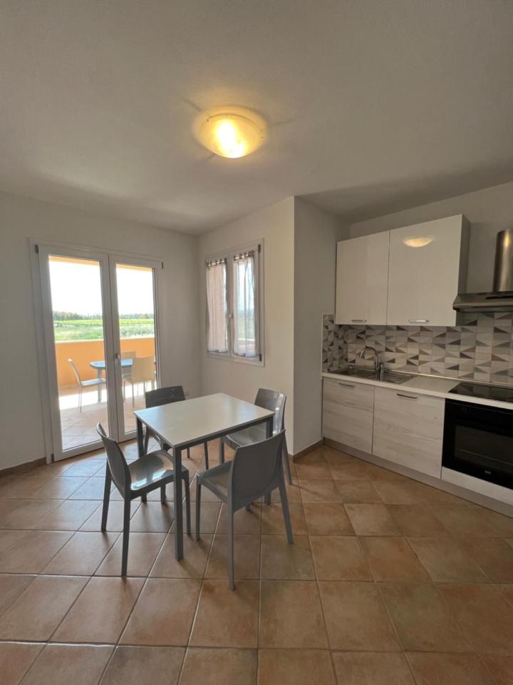 Apartment with Terrace photo 2