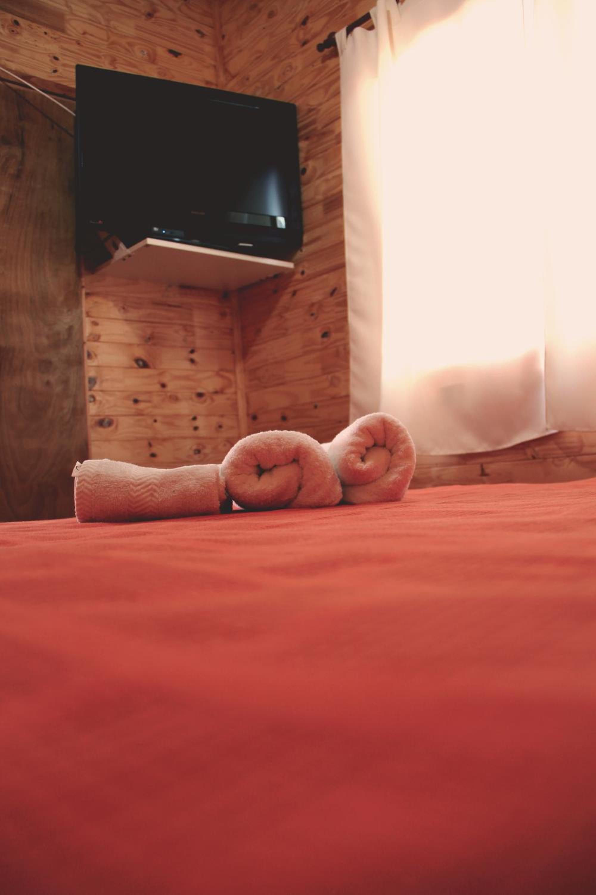 One-Bedroom Bungalow (2 Adults) photo 1