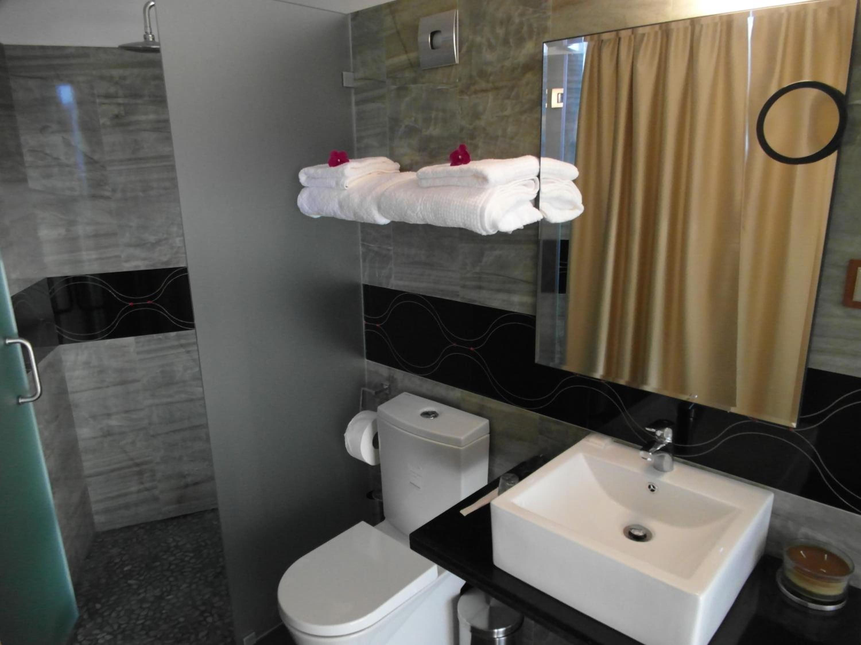 Deluxe Double Room photo 3