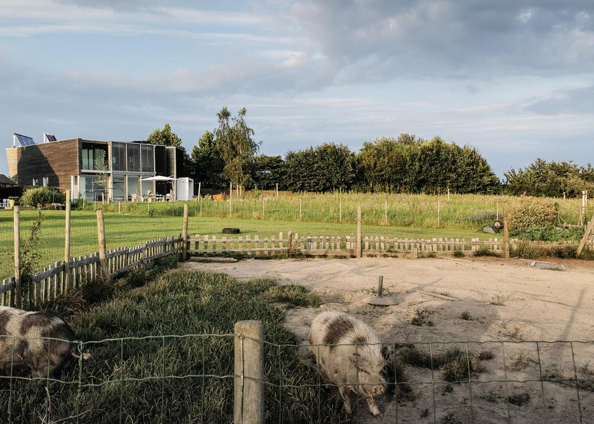 Villa with Garden View - Photo 14