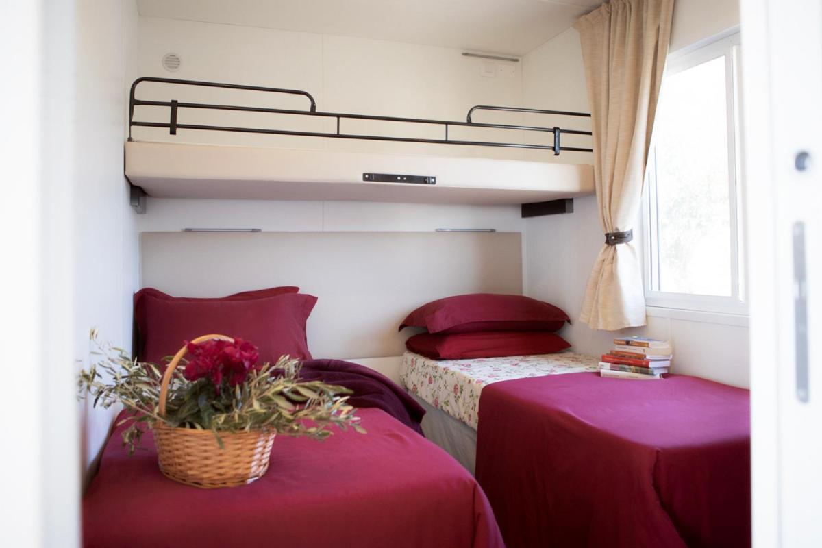 Mobile Home photo 3