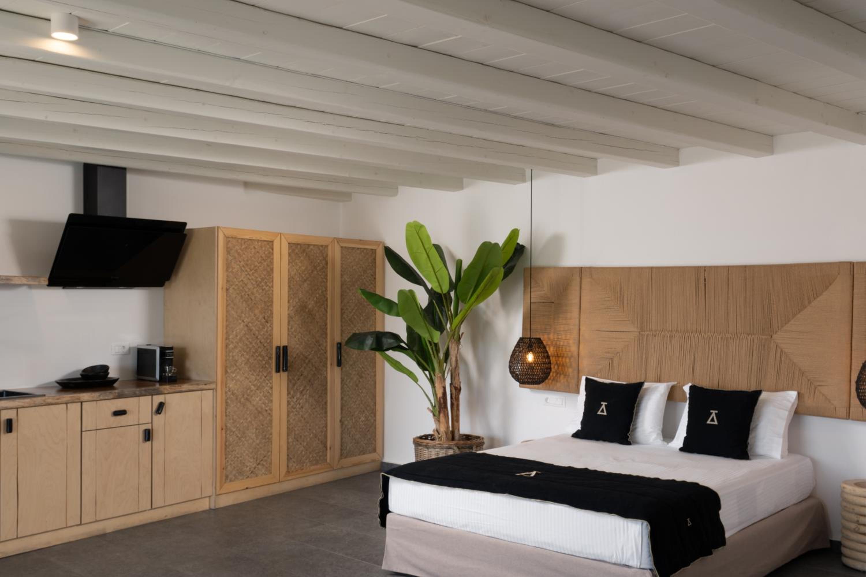 Executive Suite with private pool (Agrari)