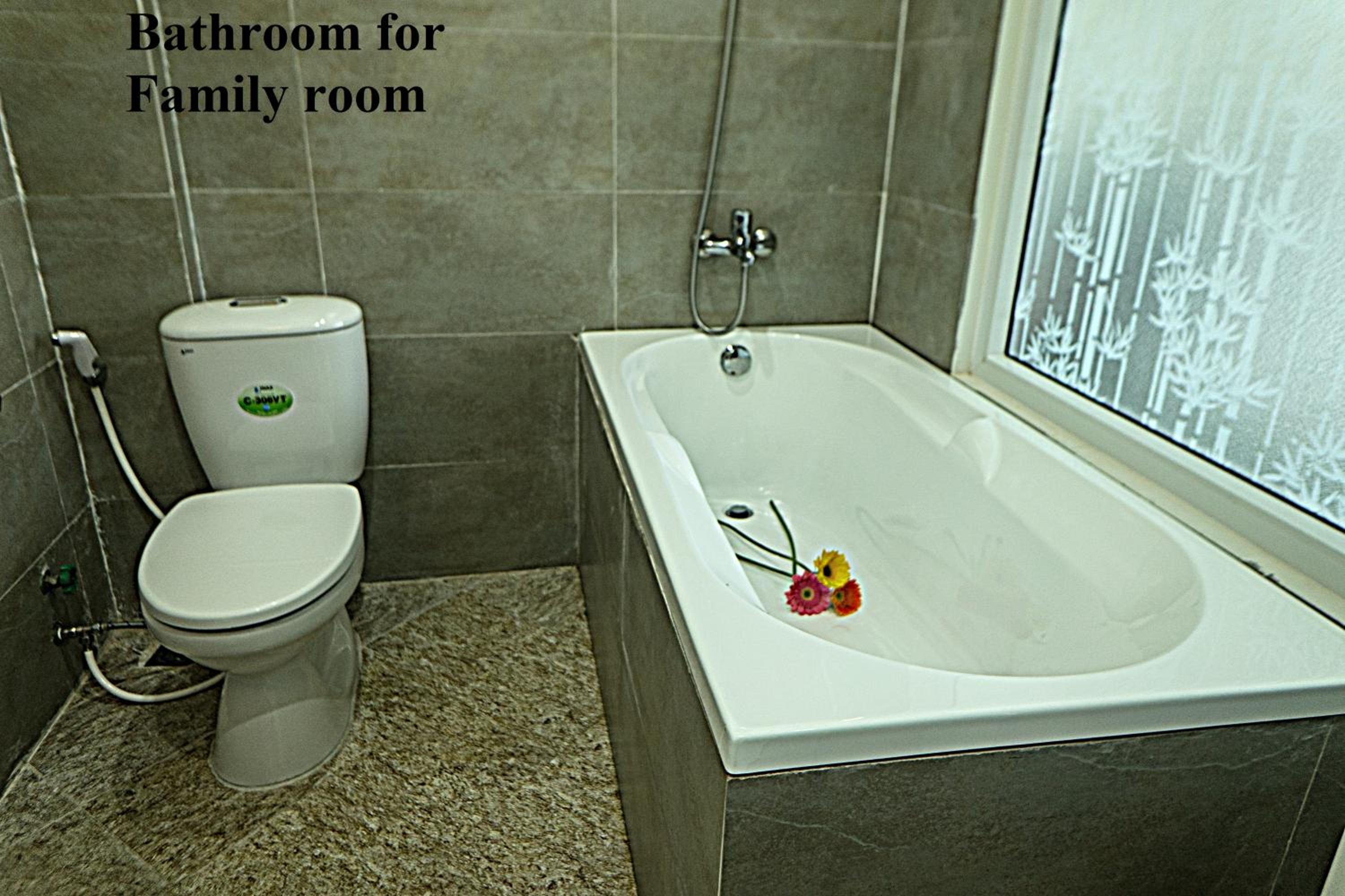 Family Suite