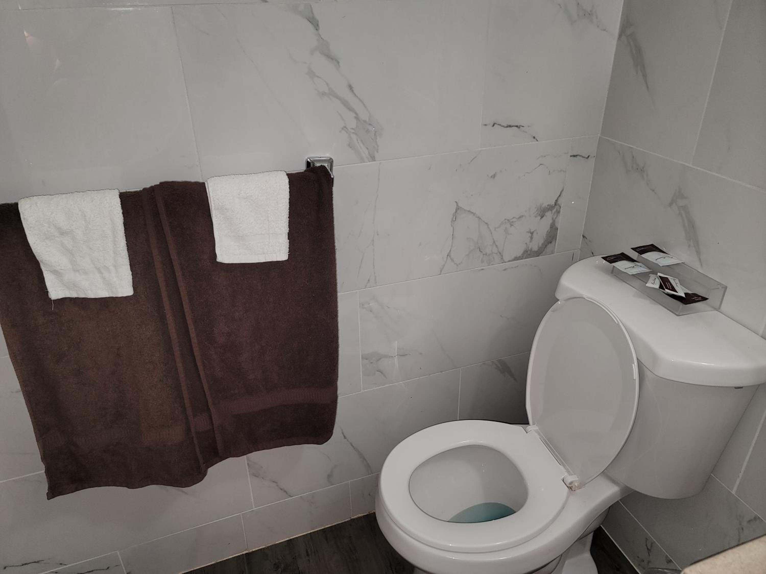 Deluxe Double Room (1 adult + 2 children) - Photo 4