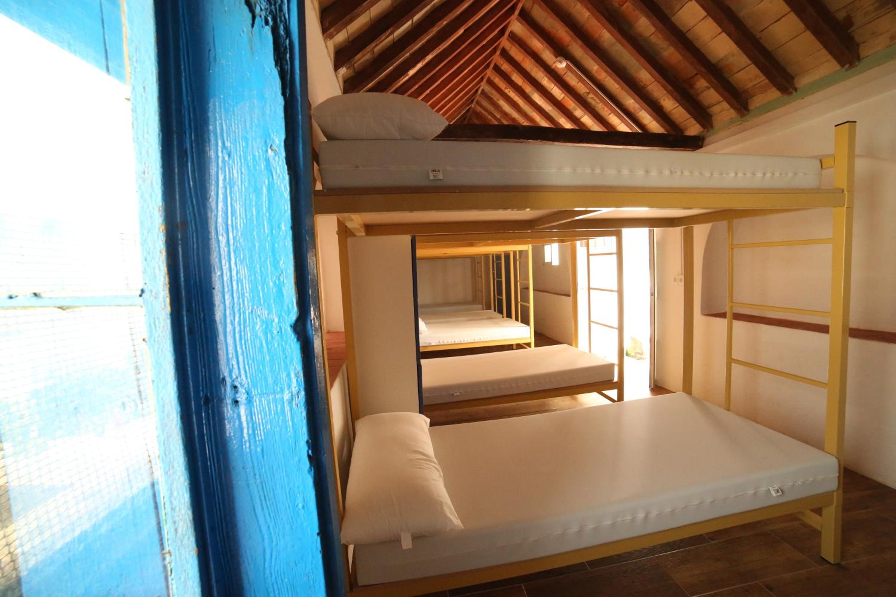 Bed in 12-Bed Mixed Dormitory Room