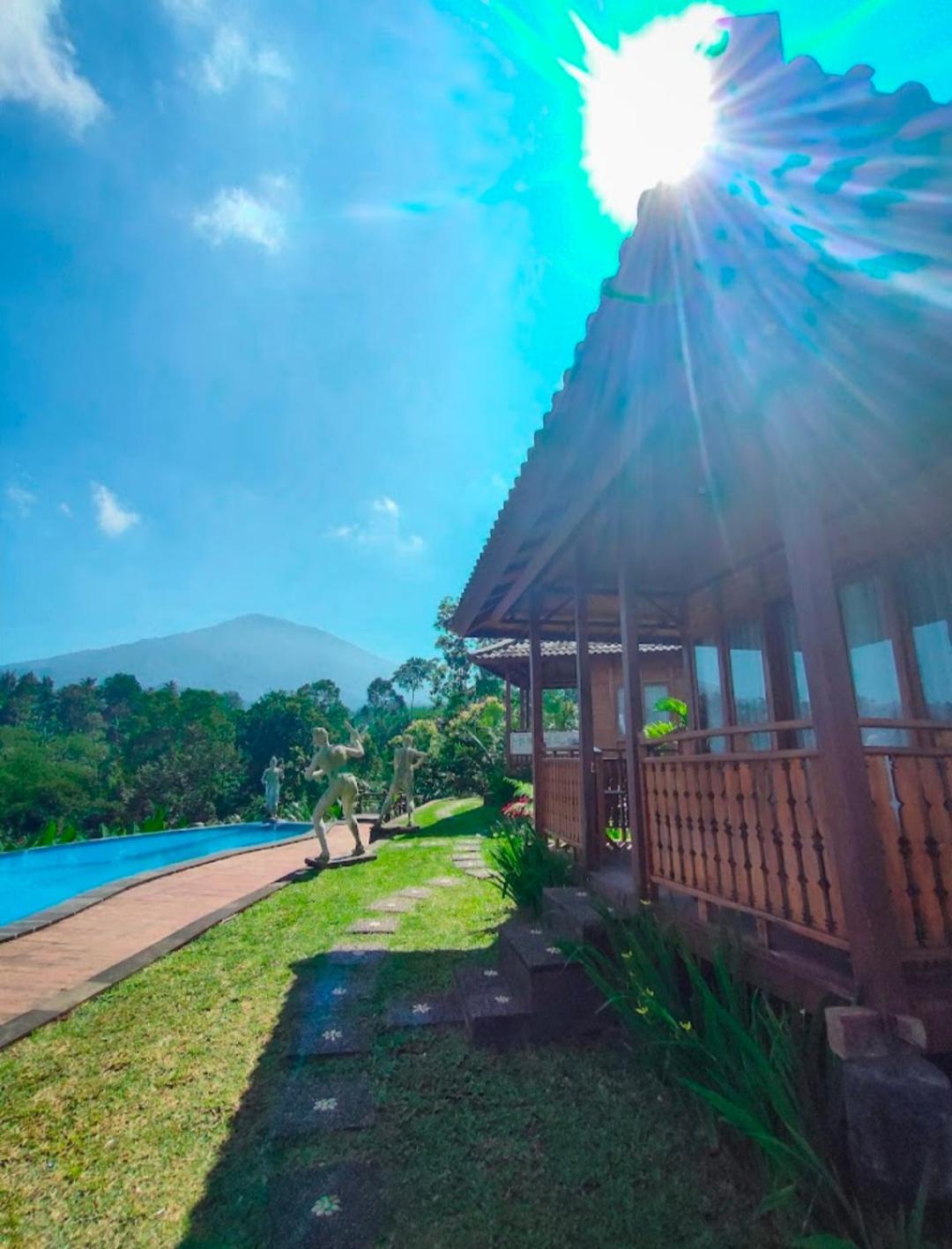 Double Room with Pool View - Photo 7