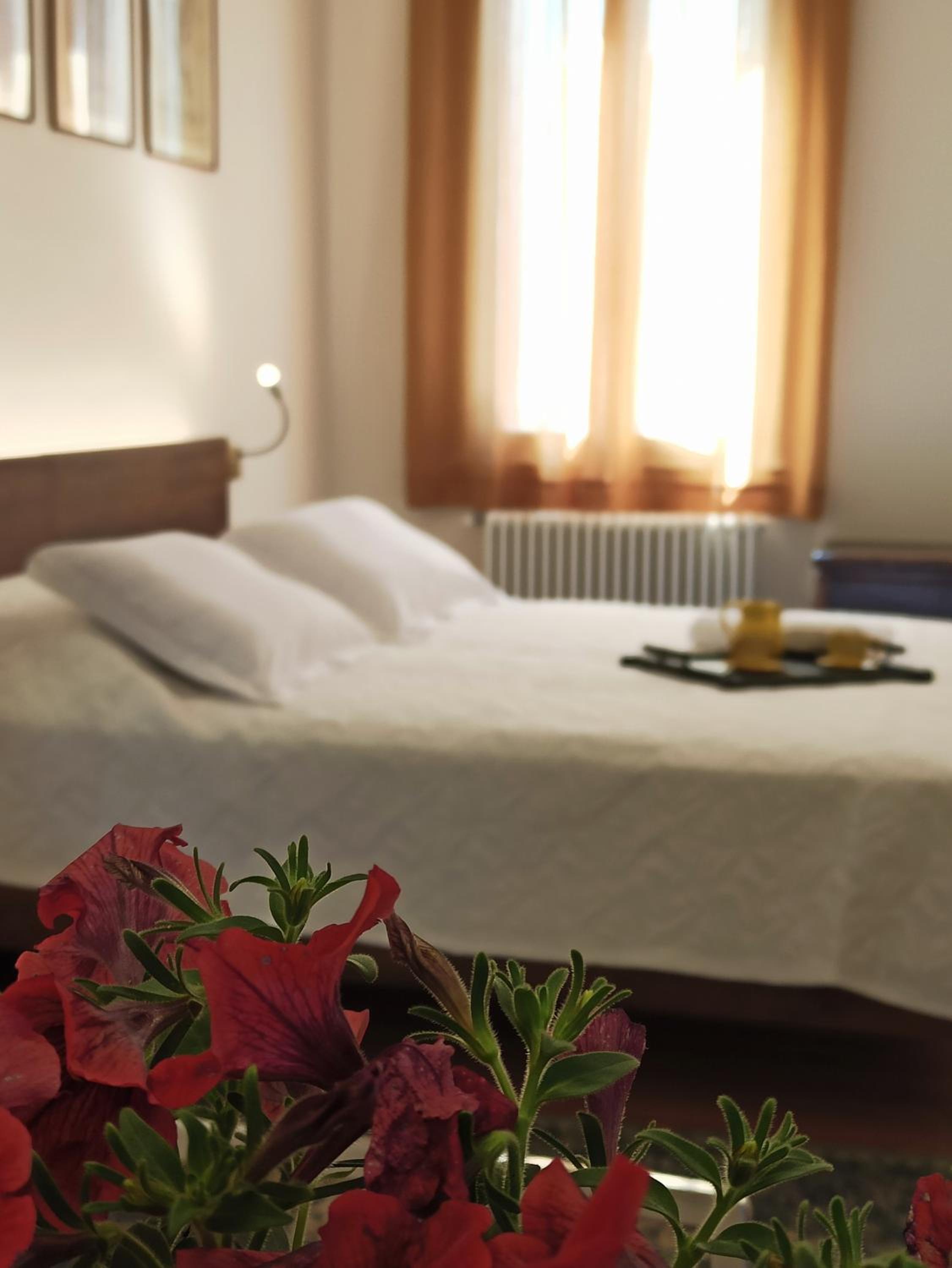 Deluxe Double or Twin Room photo 2