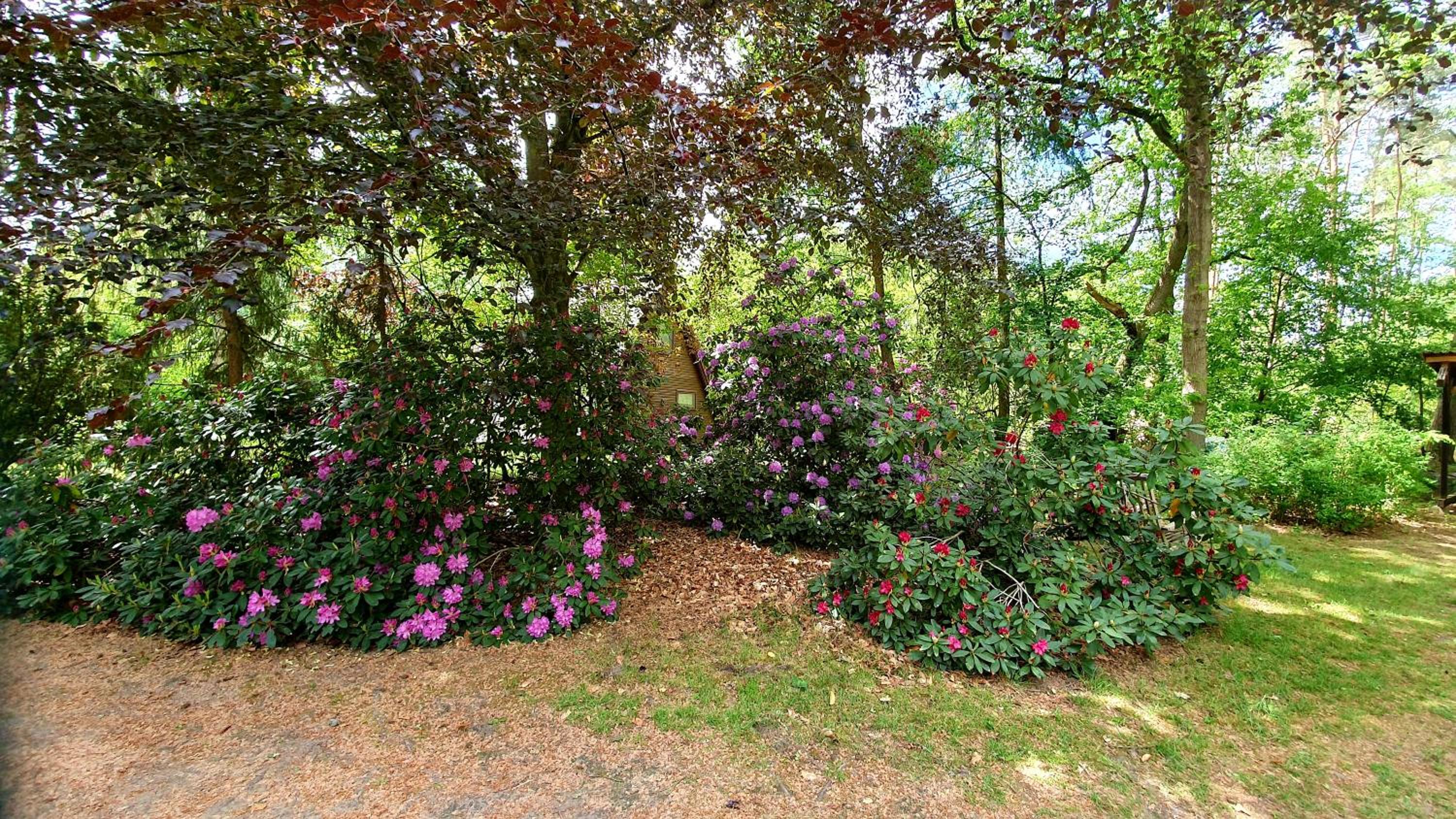 Vacation Home photo 2
