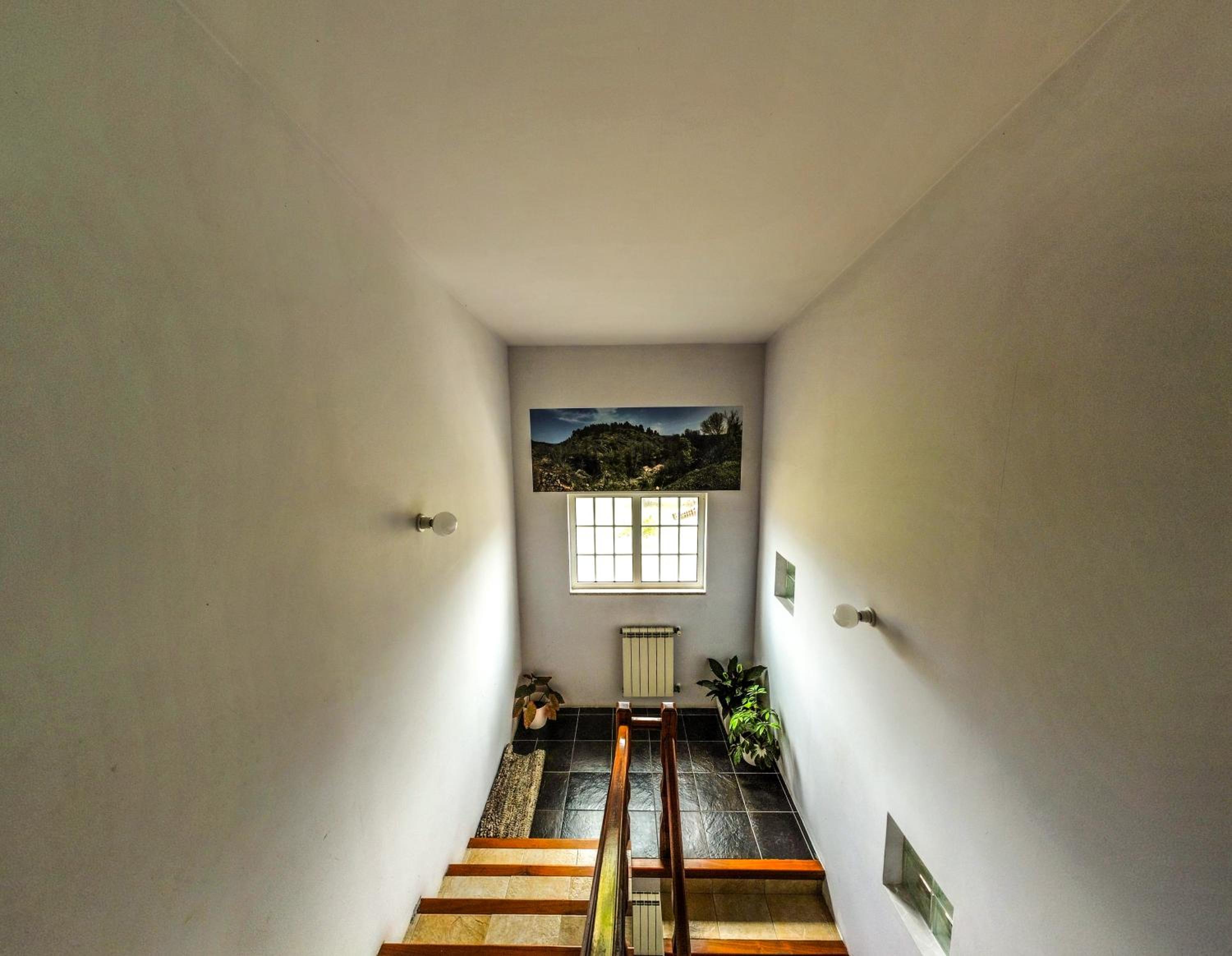 Three-Bedroom House photo 3