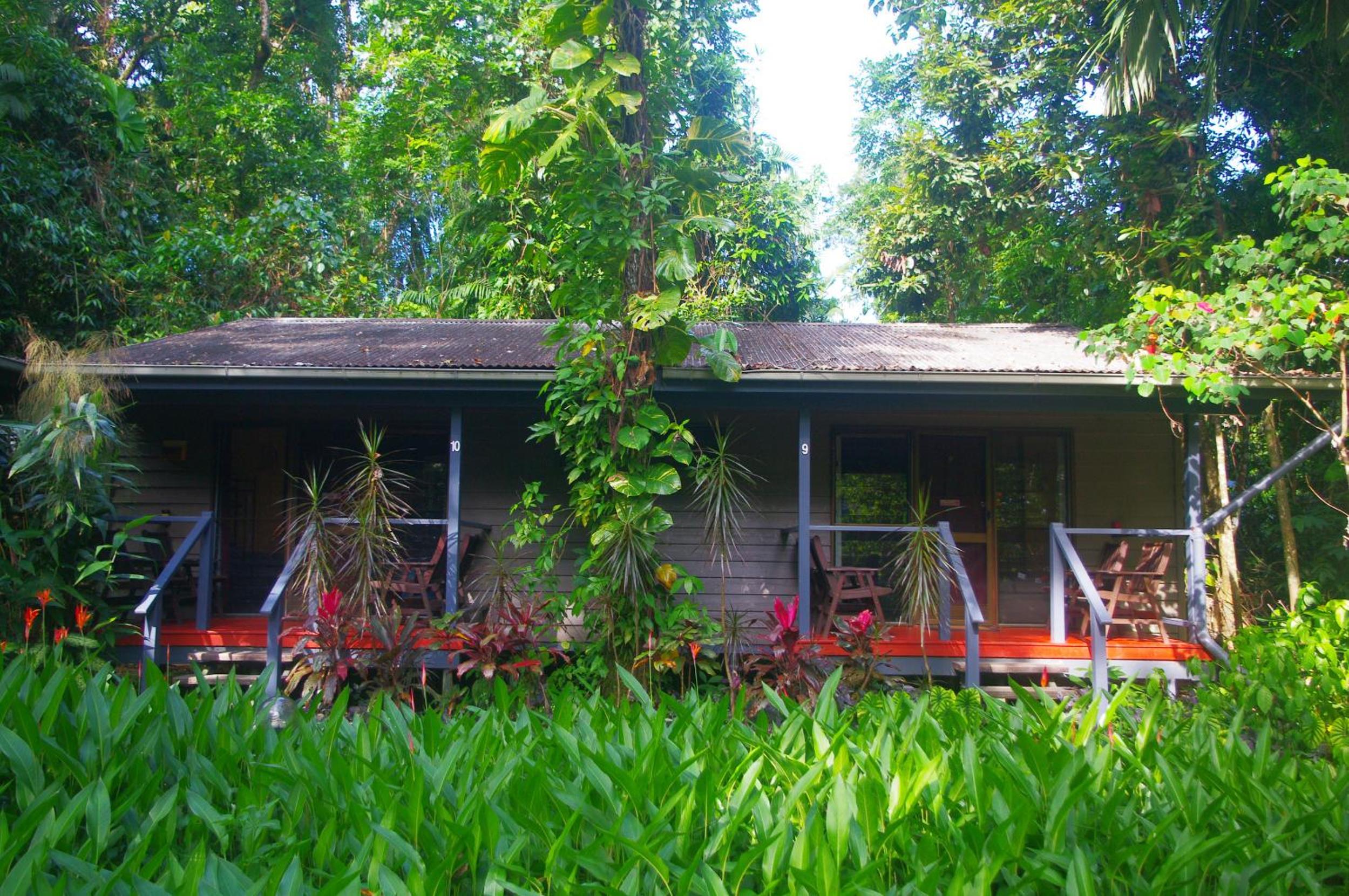 Queen Cabin with Rainforest View - Photo 6