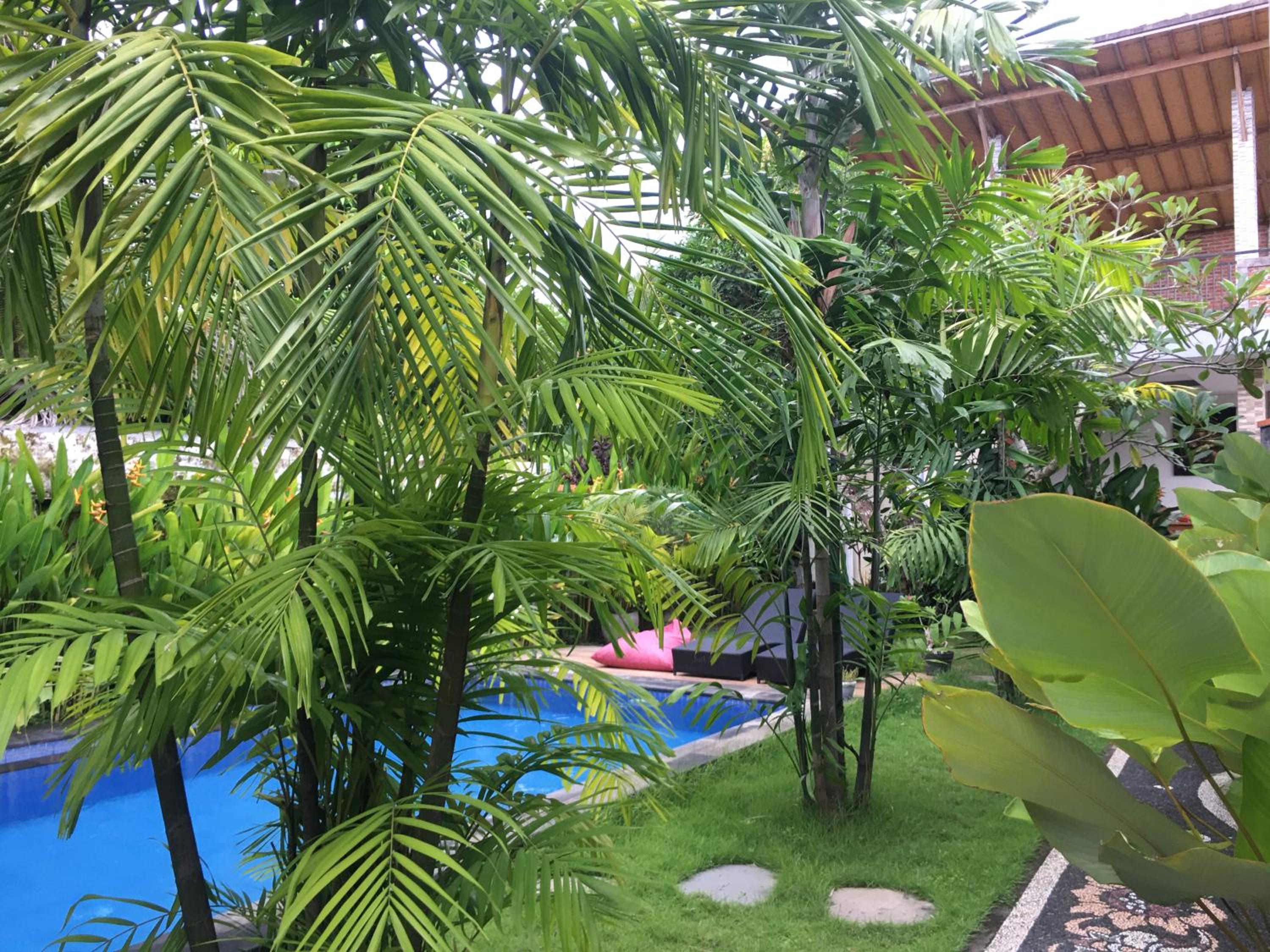 Double Room with Pool View - Photo 5