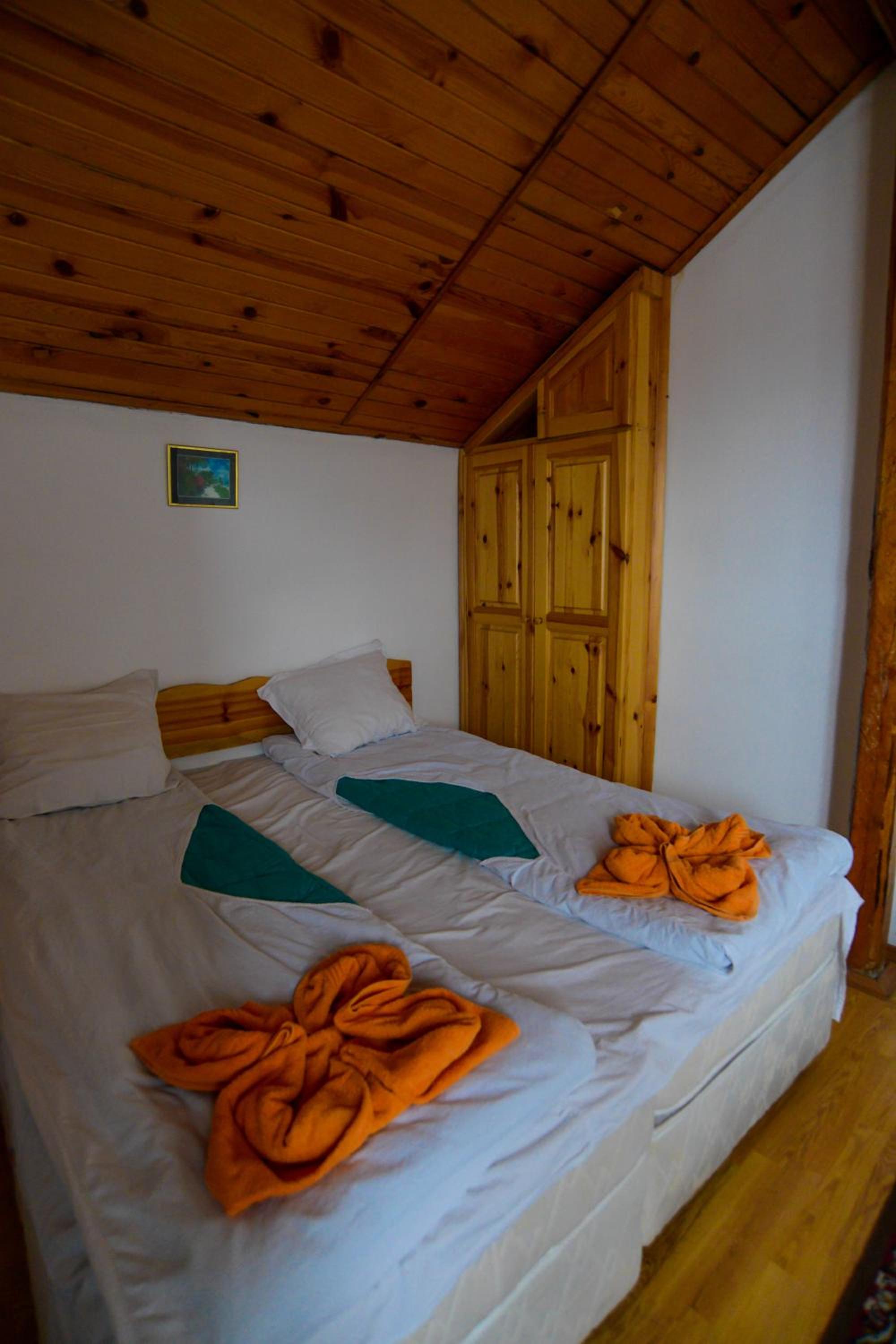Double or Twin Room photo 1
