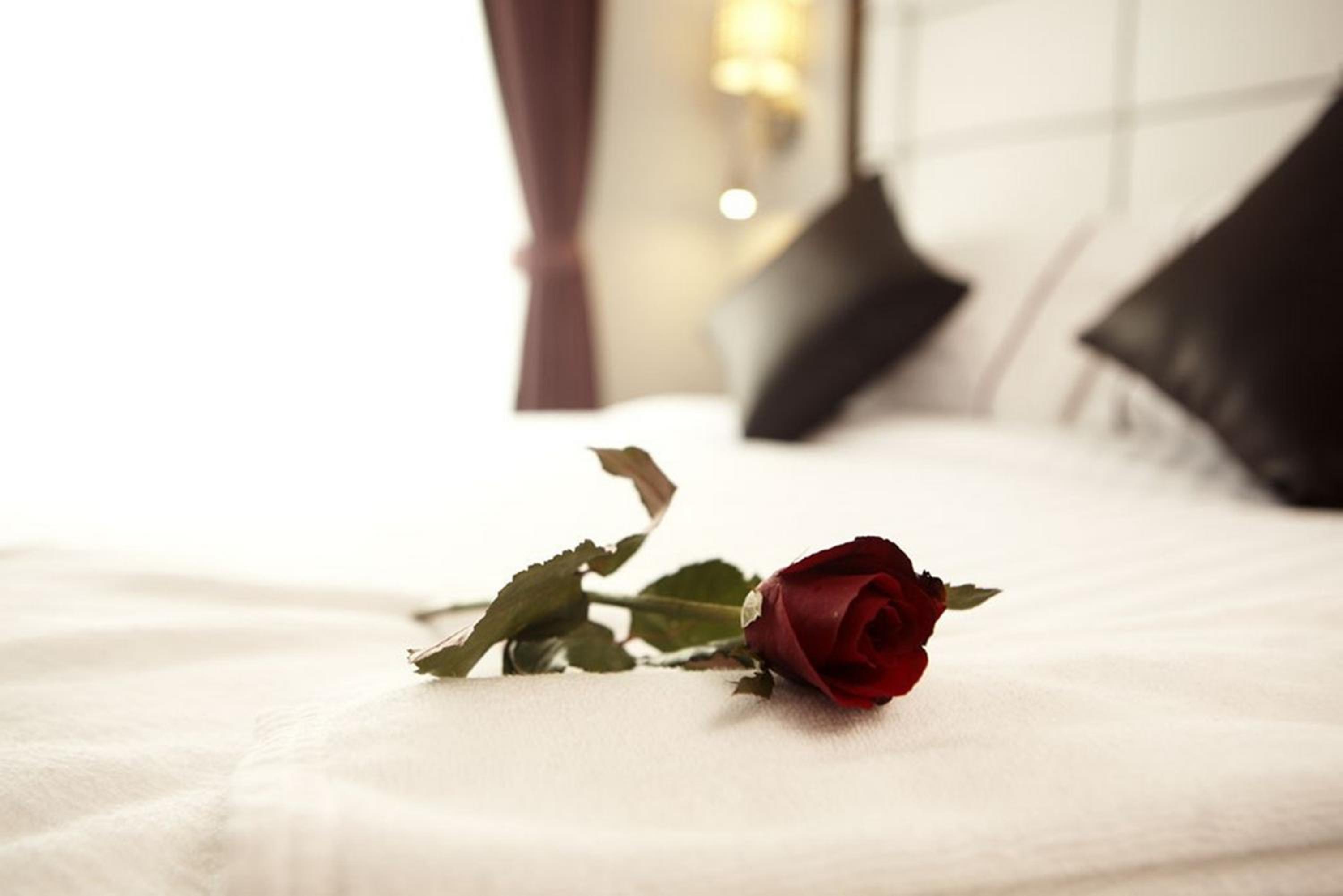 Suite photo 3