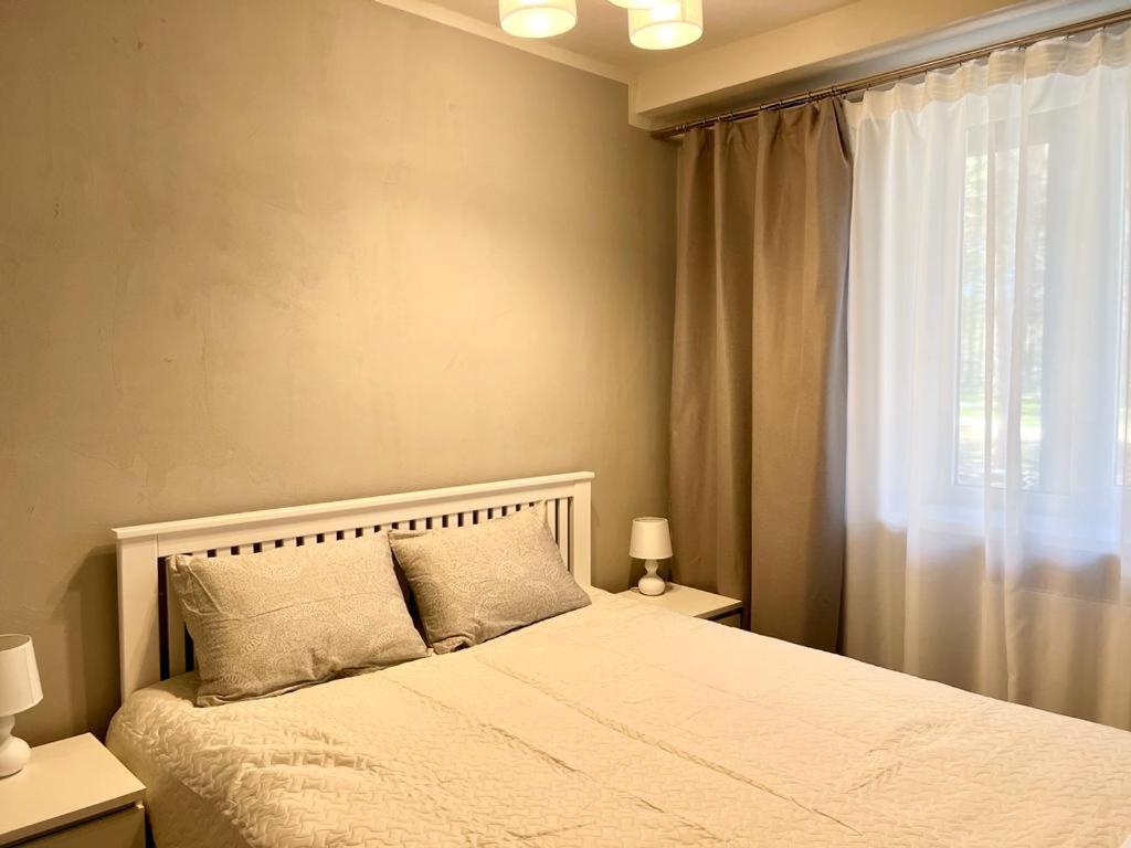 One-Bedroom Apartment - Photo 1