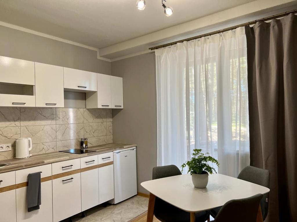 One-Bedroom Apartment - Photo 5