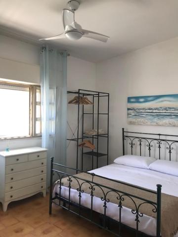 Three-Bedroom House photo 3
