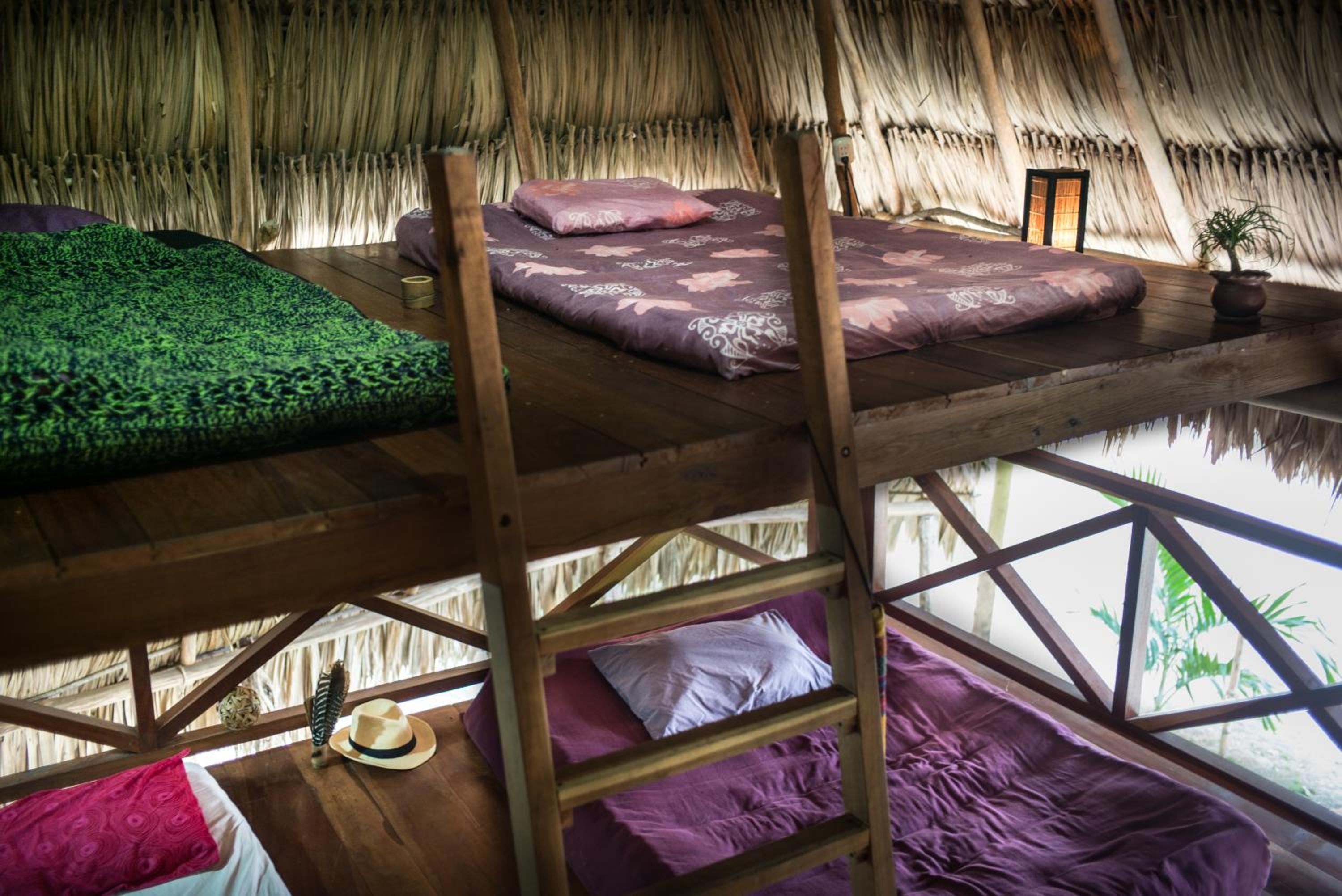 4-Bed Mixed Dormitory Room photo 2