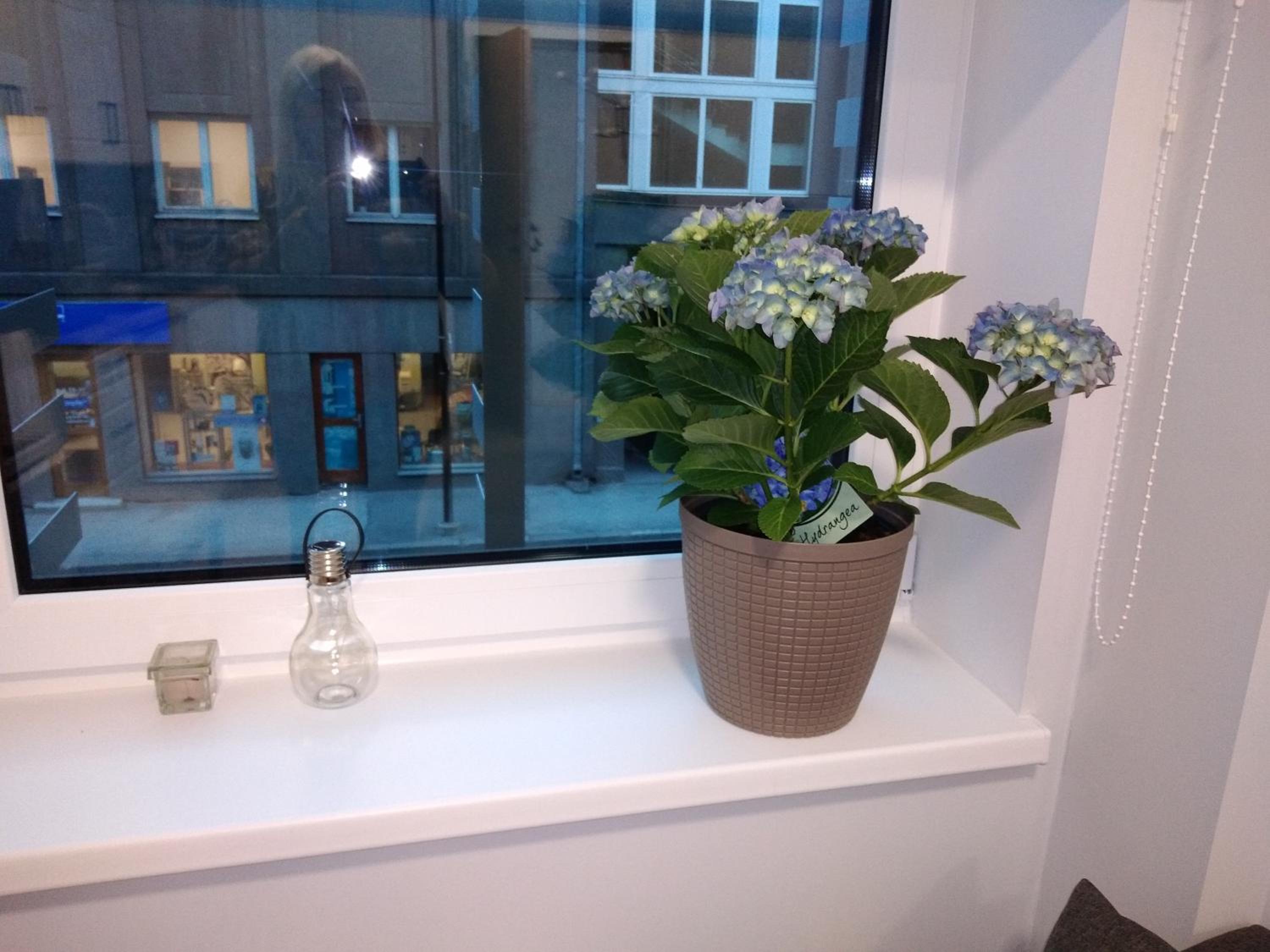 One-Bedroom Apartment - Photo 3