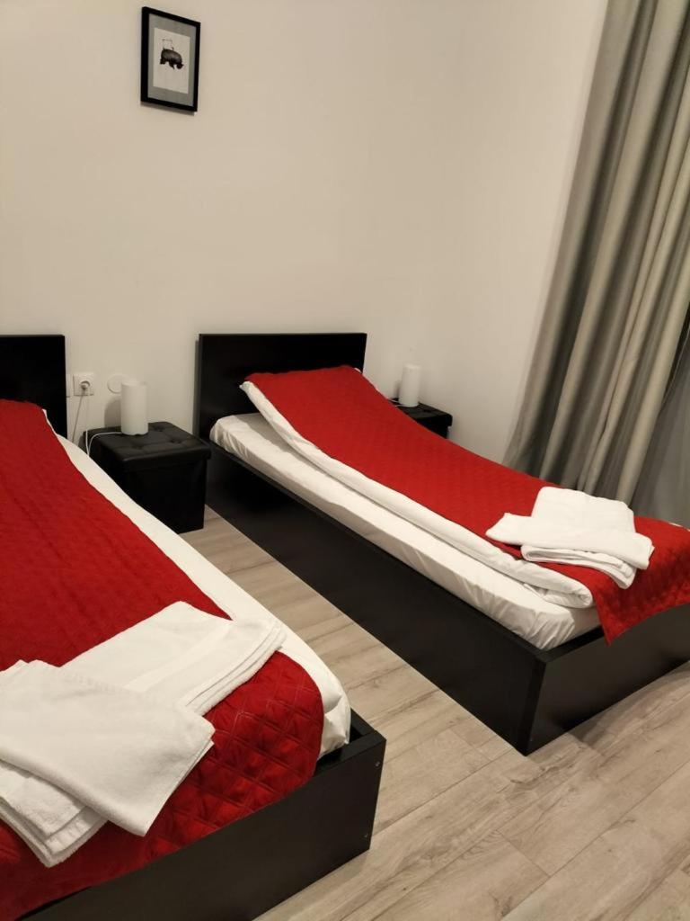 Deluxe Twin Room photo 1