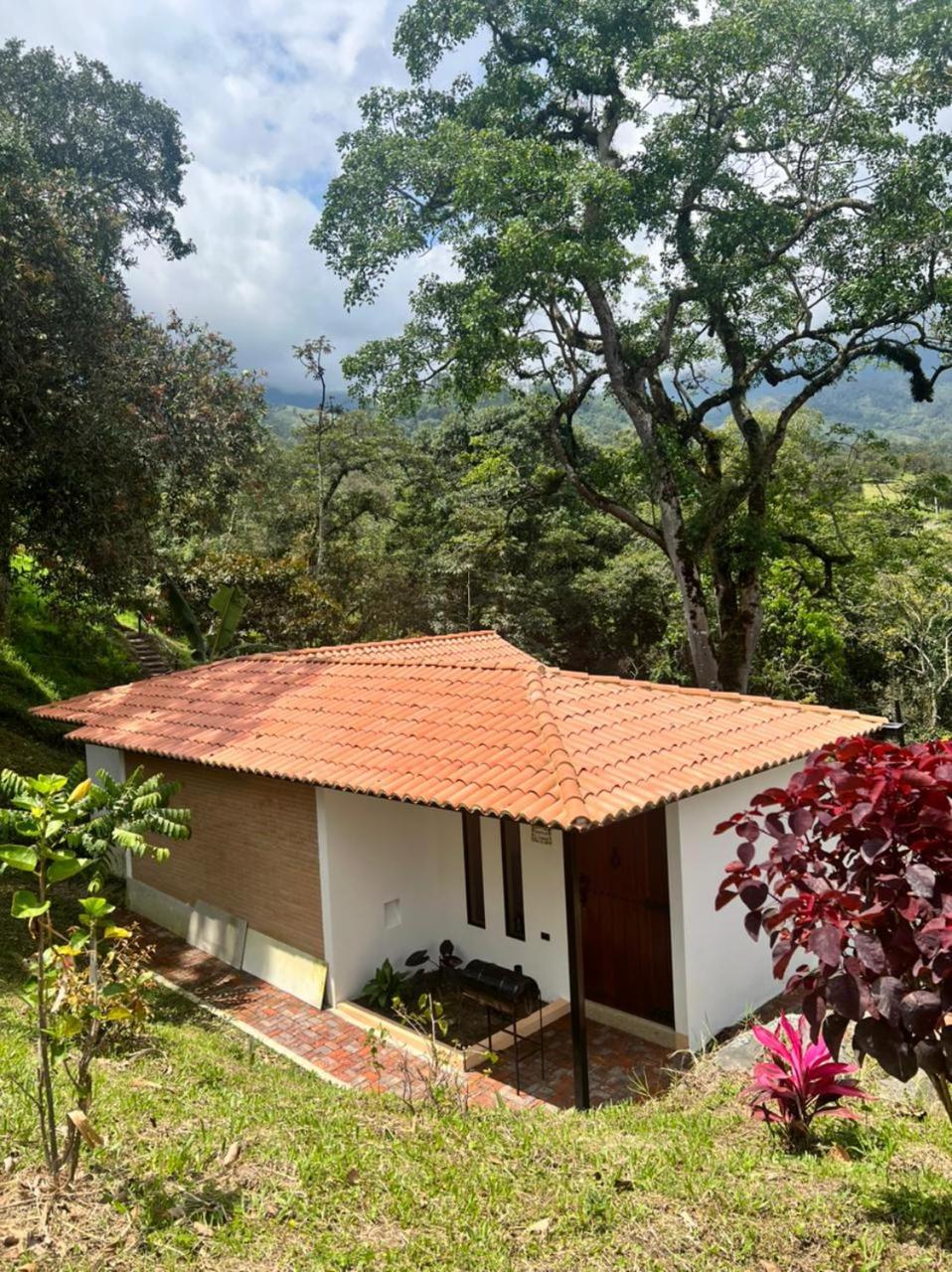 Superior Double or Twin Room with Mountain View photo 3
