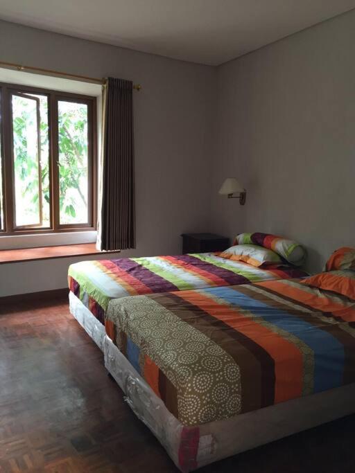 Three-Bedroom Villa - Photo 1